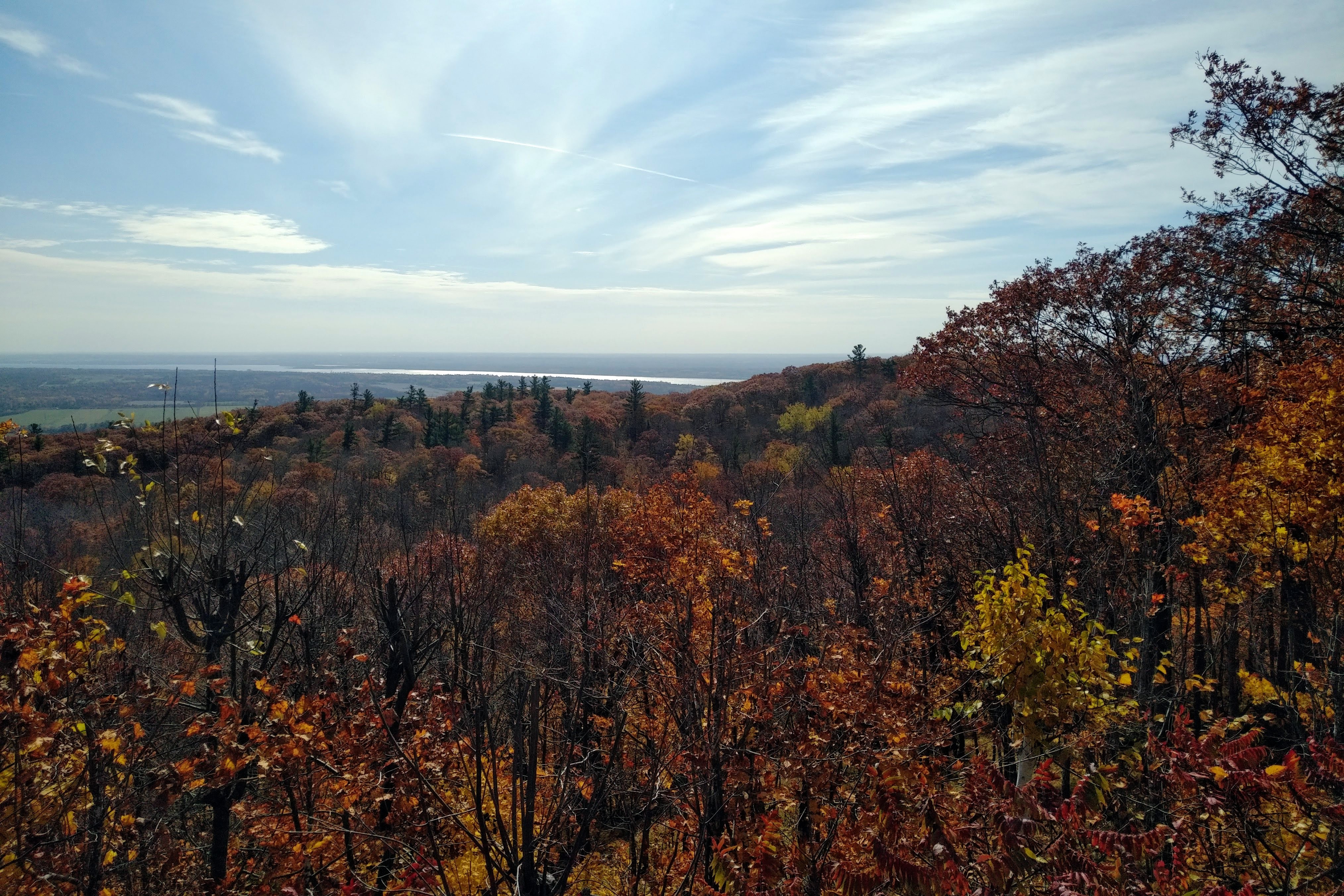 img_20221021_1333186