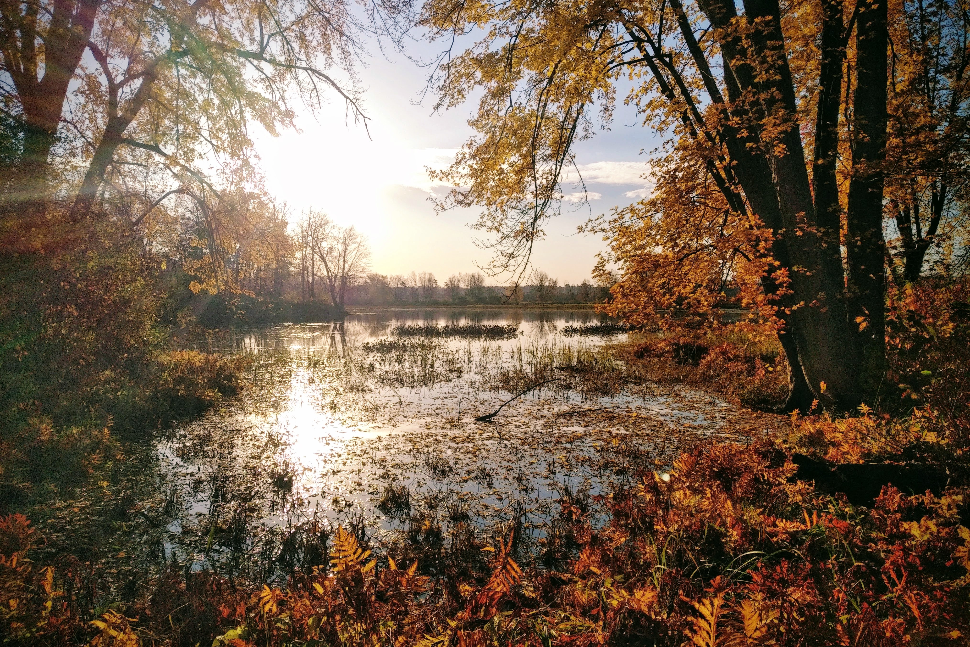 img_20221022_0838325-effects