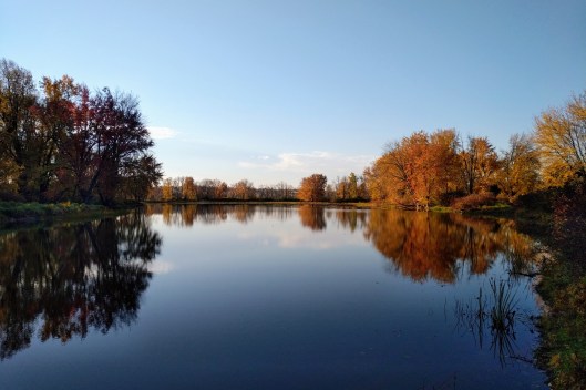 img_20221022_0846198