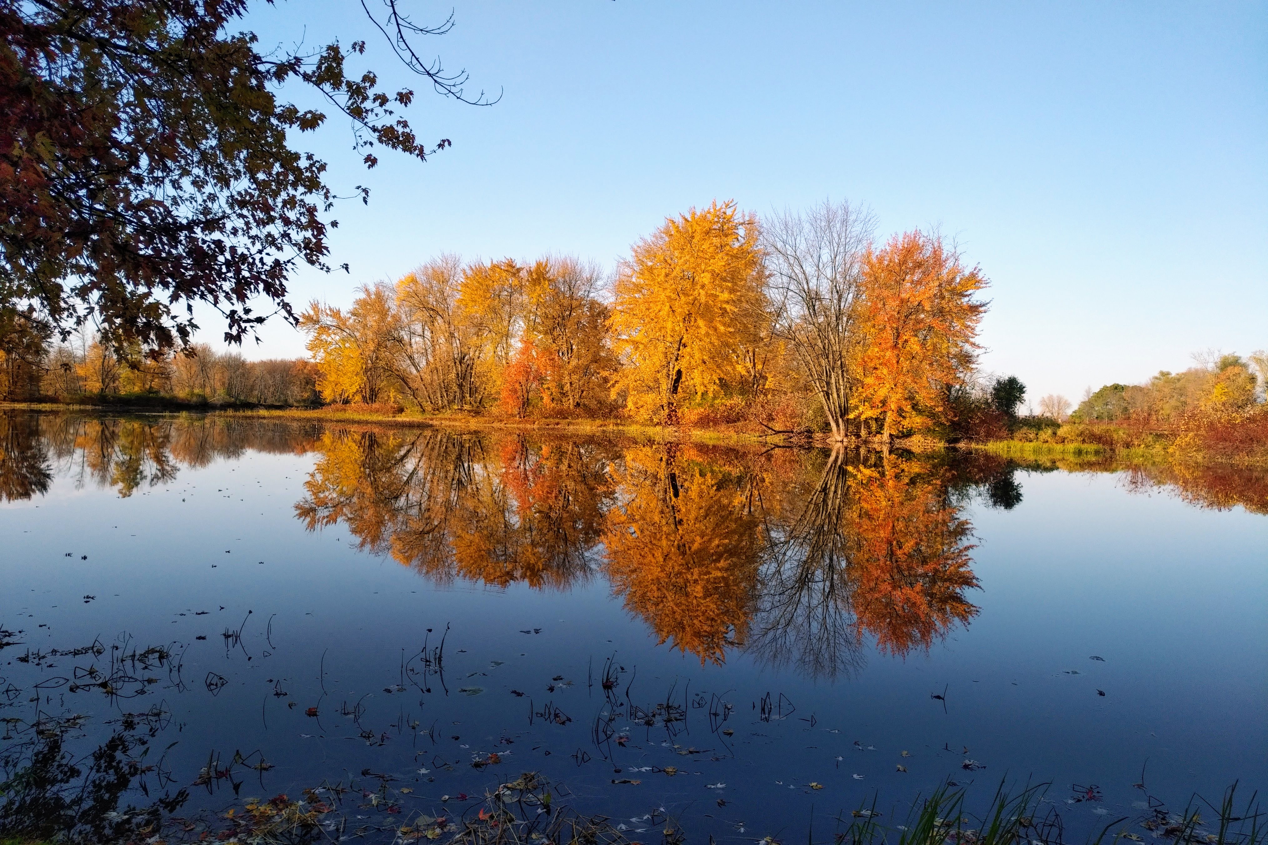 img_20221022_0849014