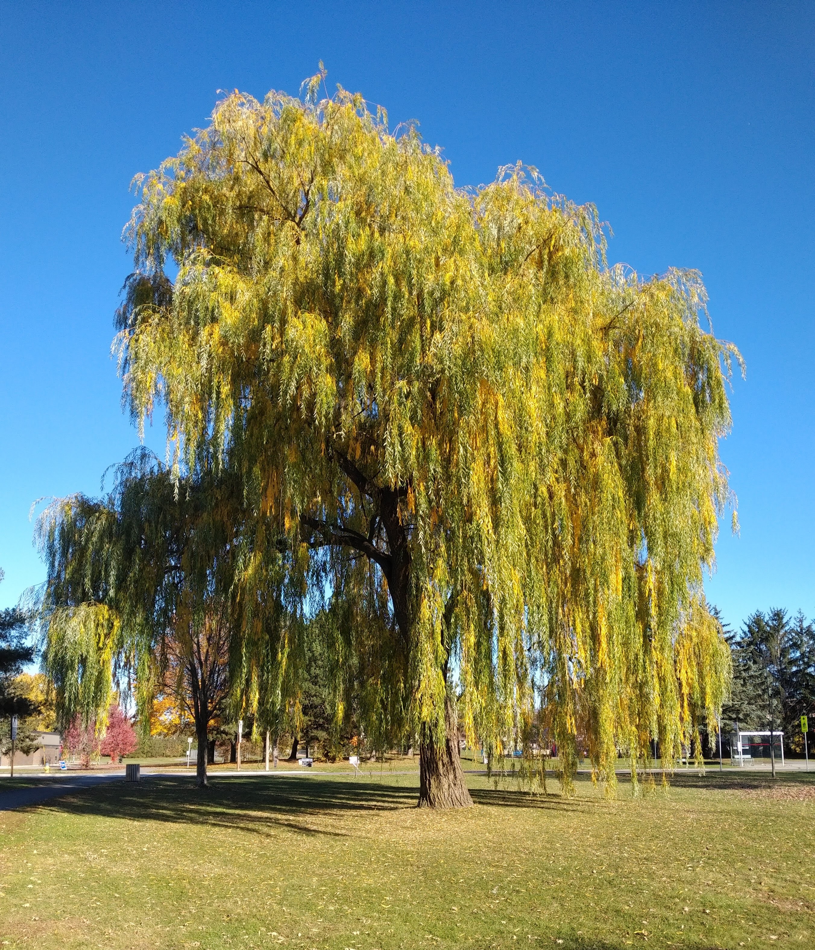 img_20221024_1514076-1