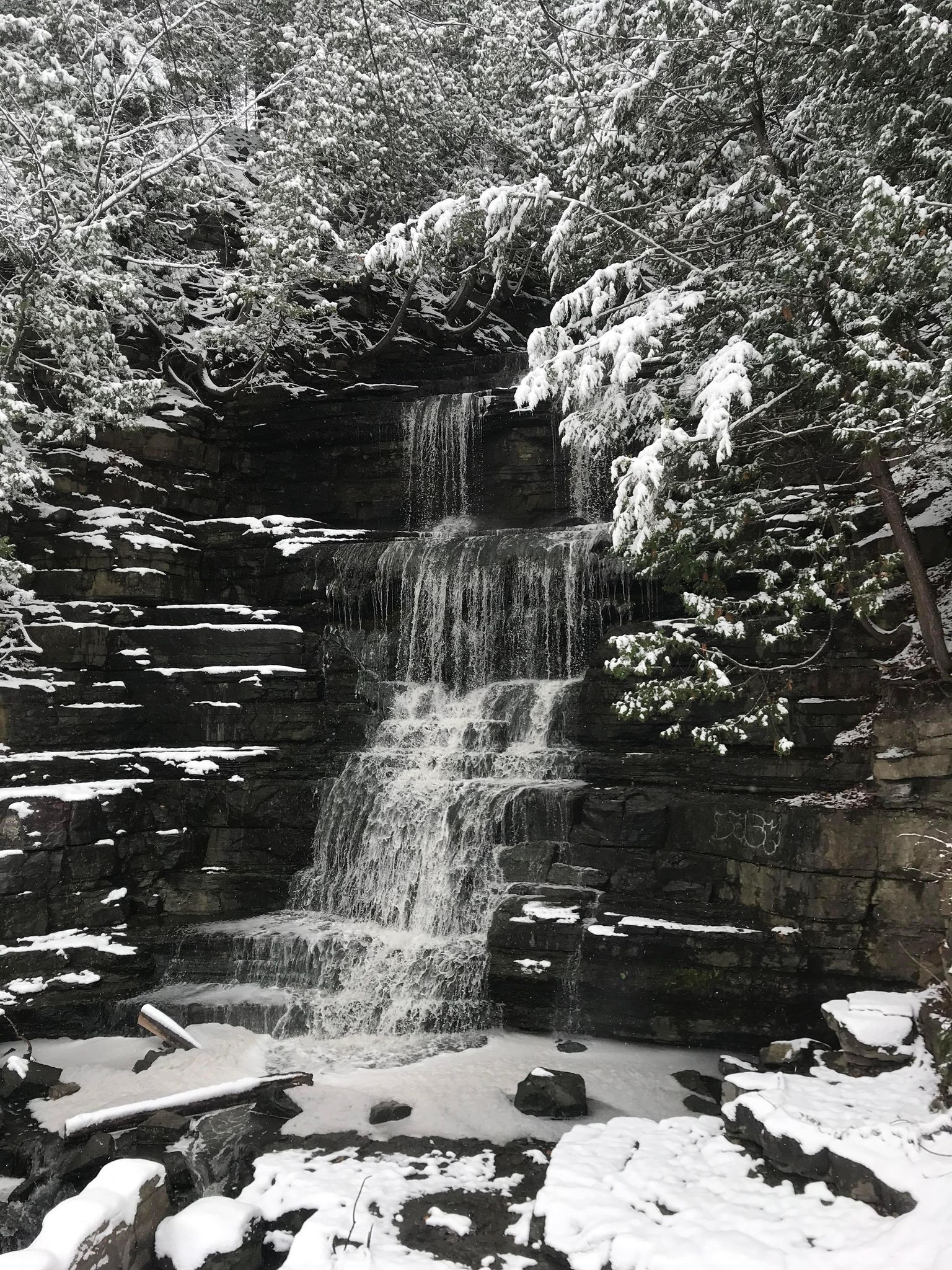 Falls Jann Jablonski