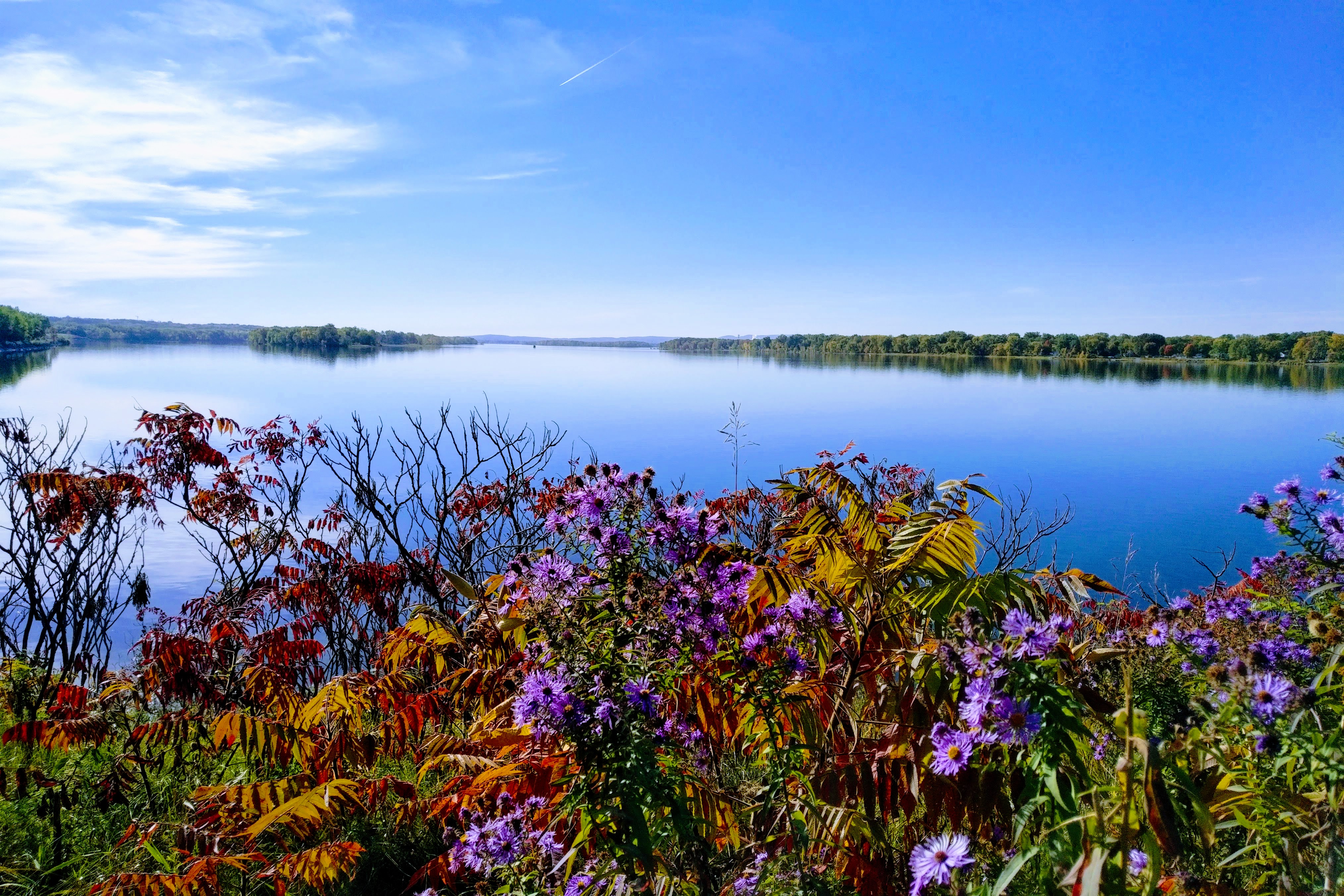 img_20221004_1555137