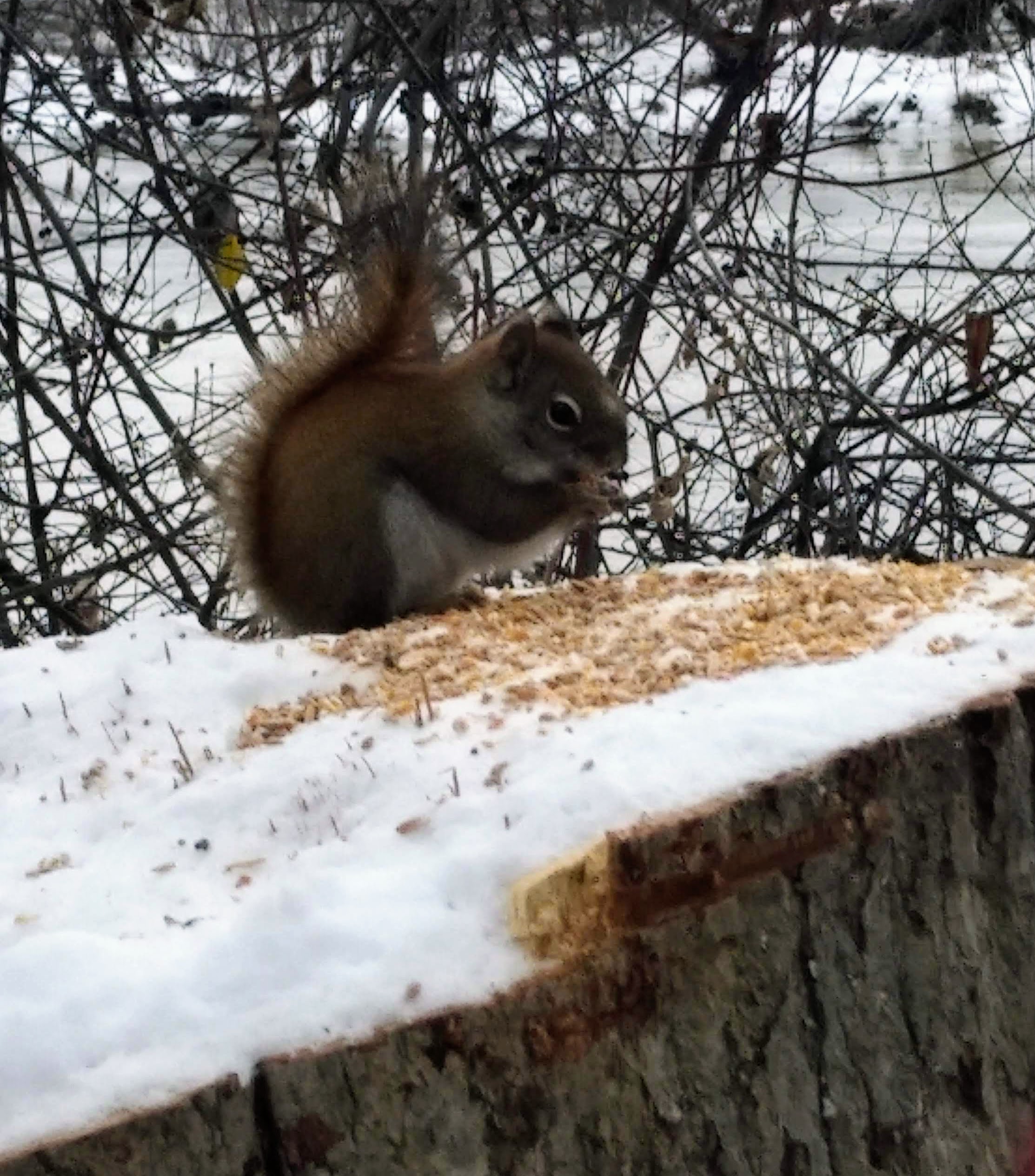 img_20221121_0804152-1