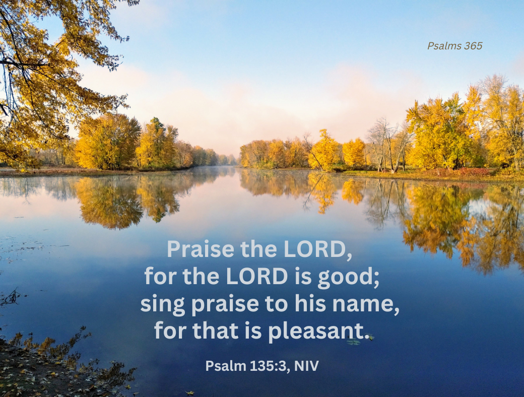 Praise the LORD | I love the Psalms, image size:1040x788