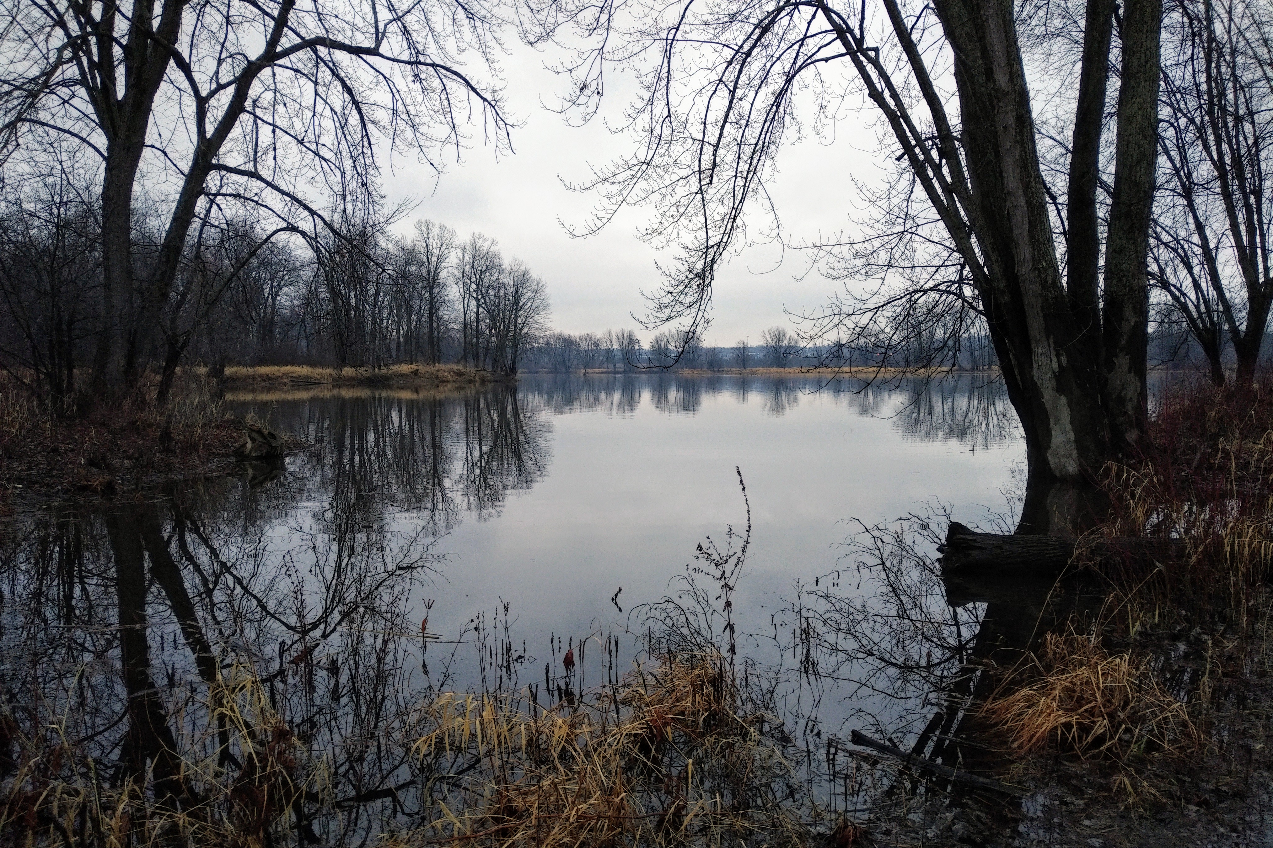 IMG_20201205_1012503