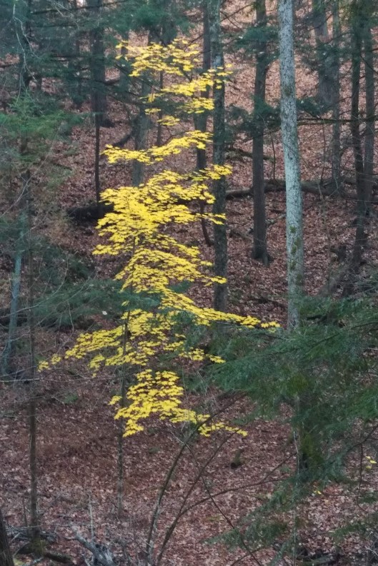 img_20221026_0822524