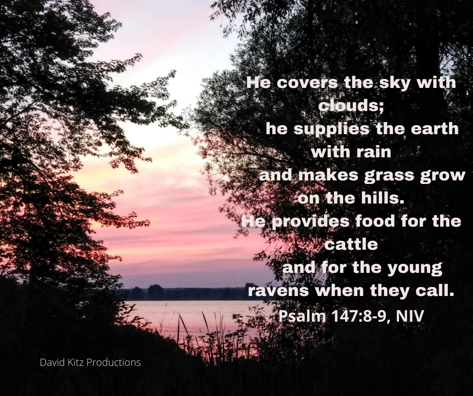 Psalm 147_8-9