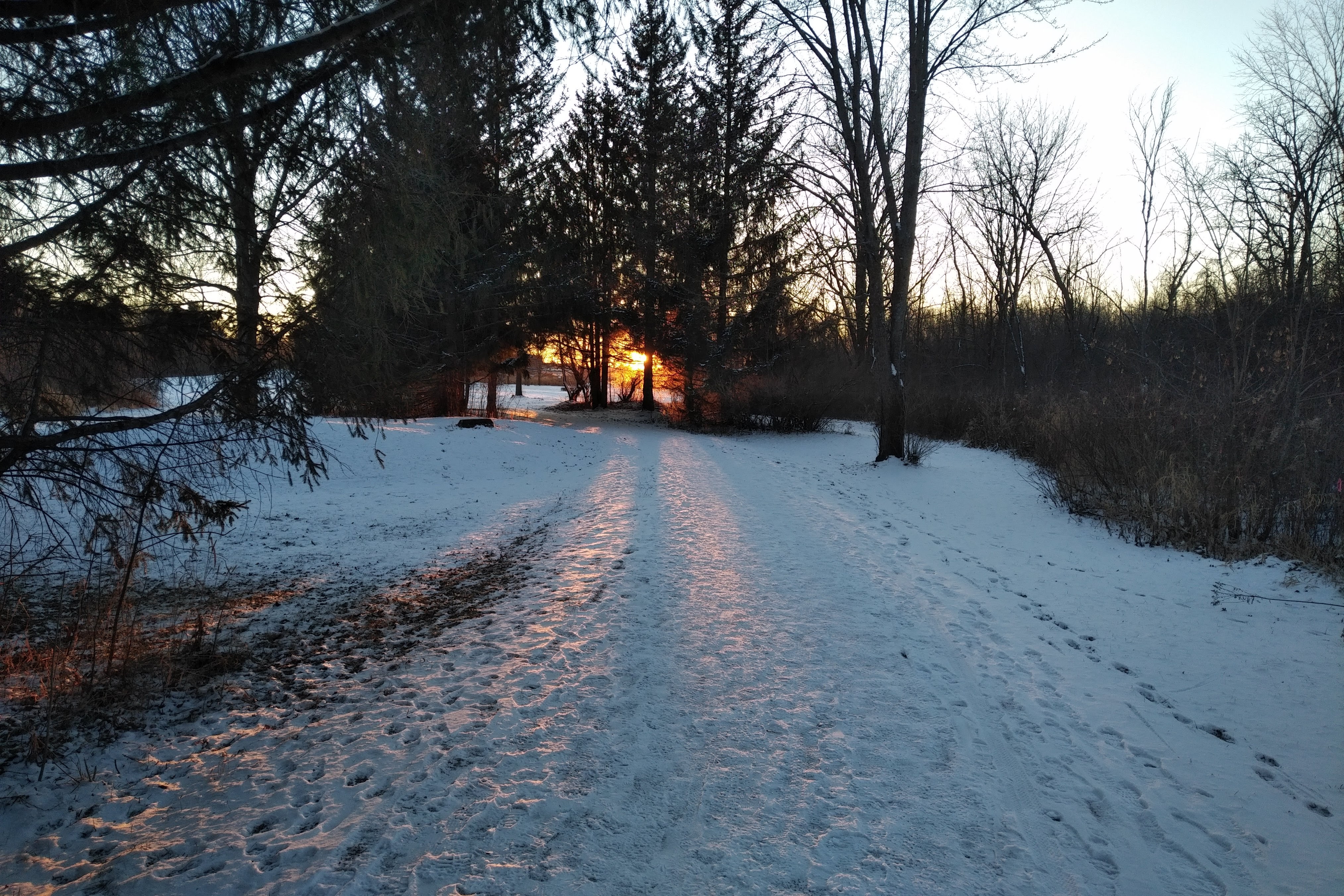 img_20221212_1602593