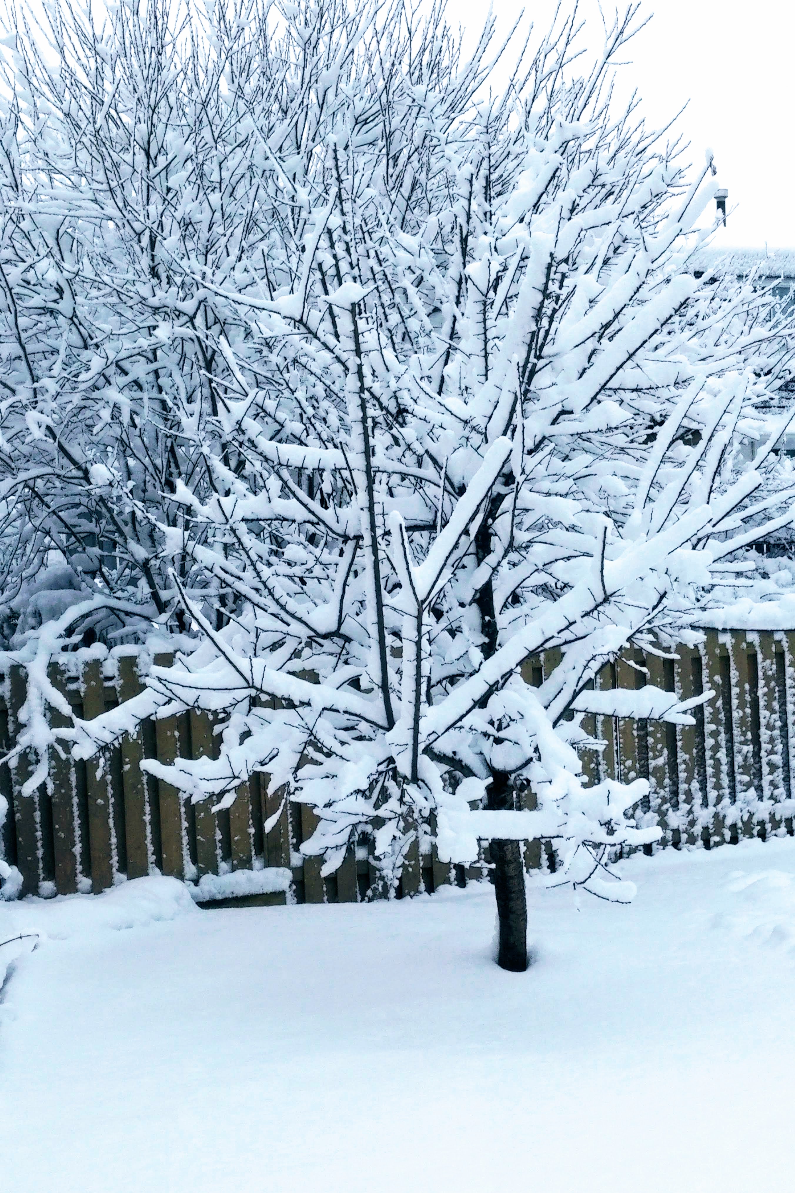 img_20221217_0759340