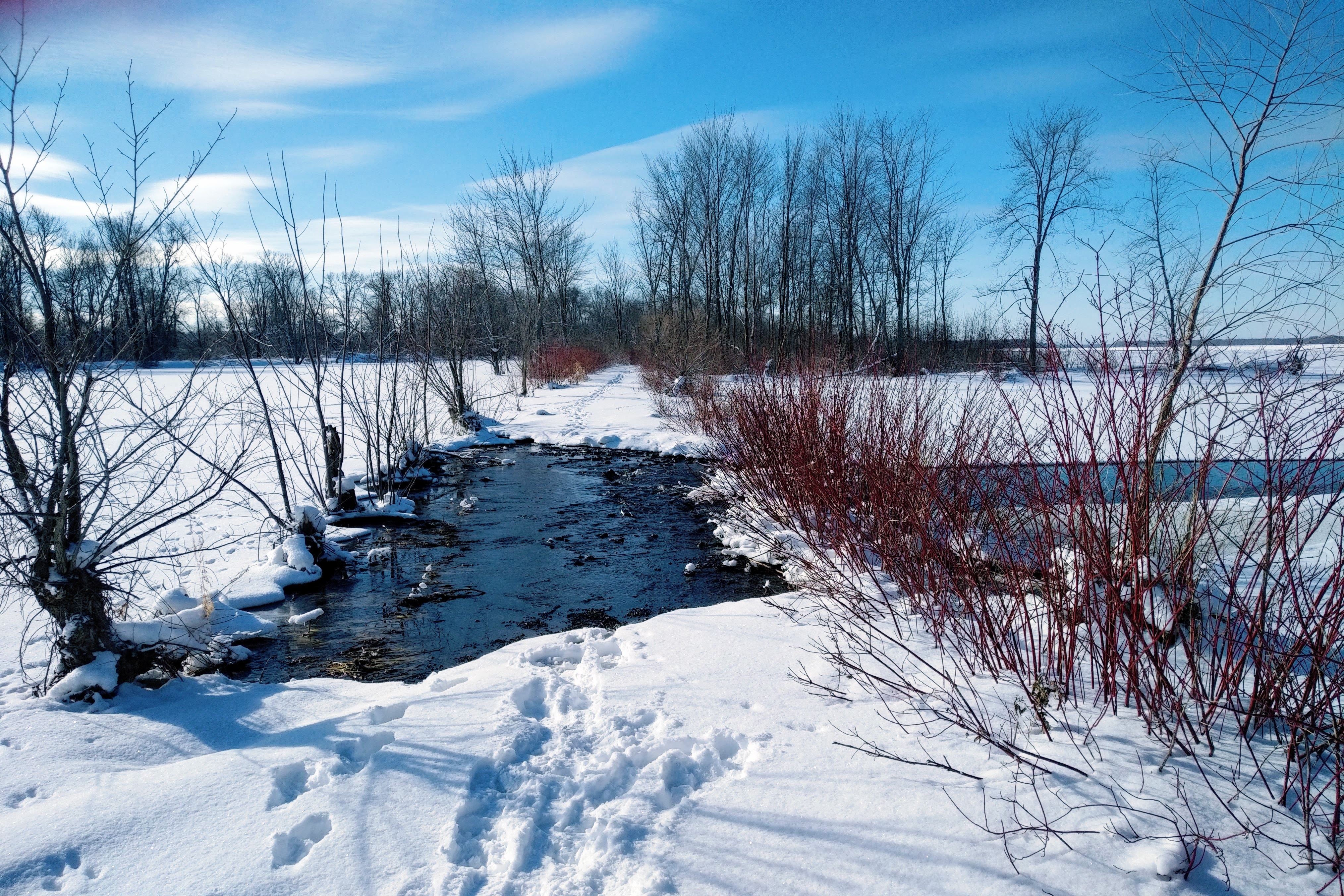 img_20230121_1104569-1