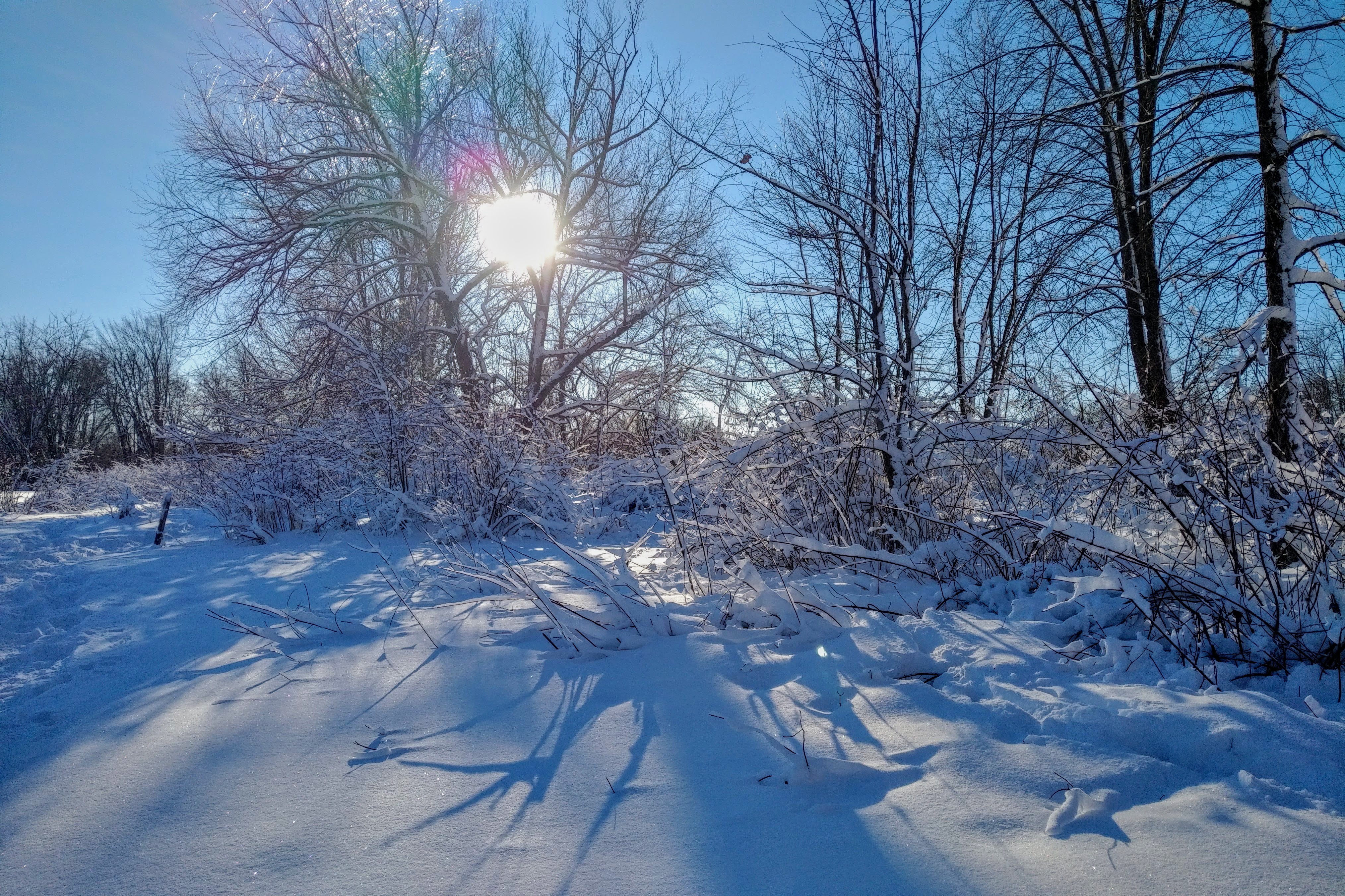 img_20230114_1454195