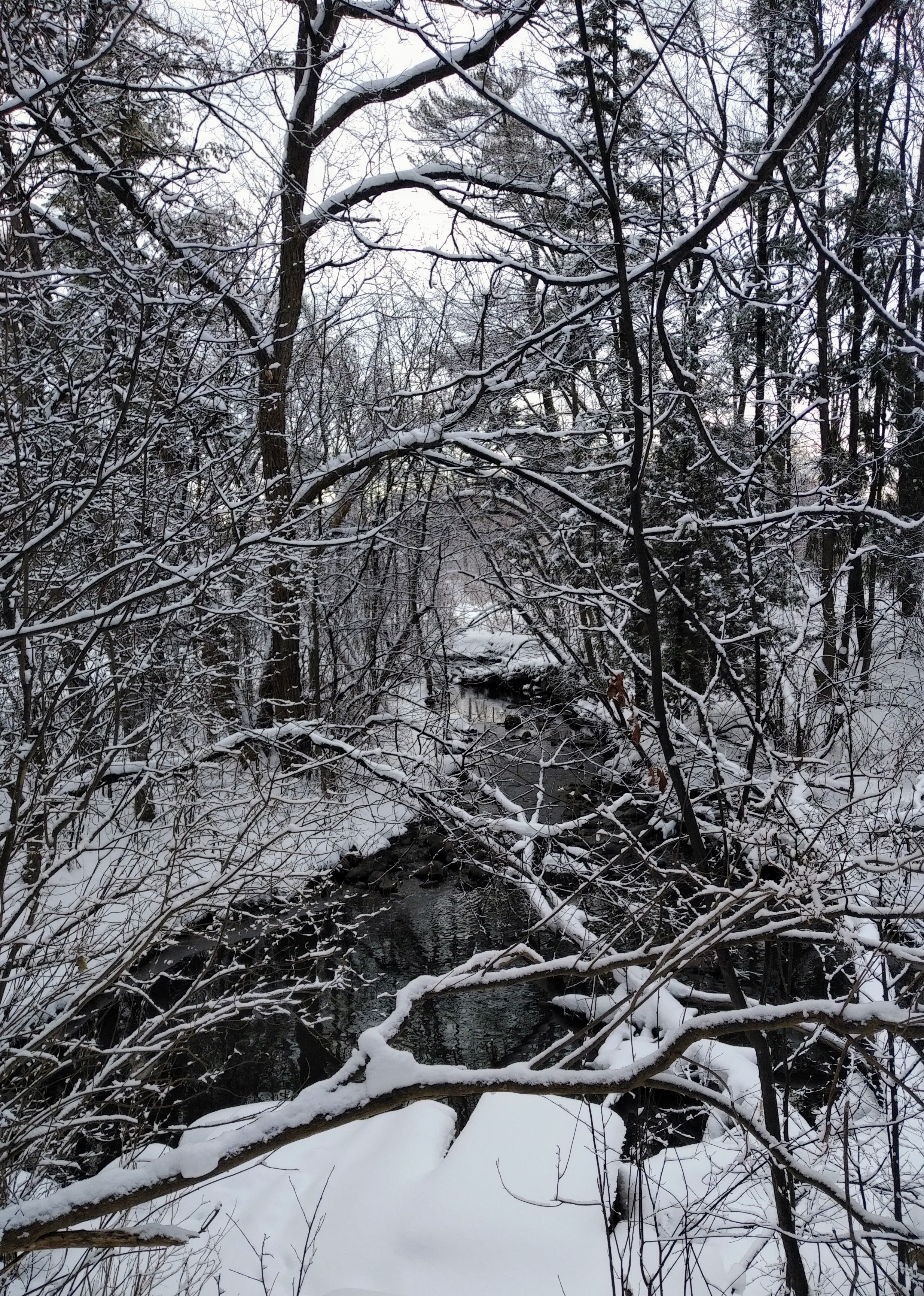 img_20230123_0936510-1