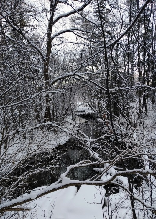 img_20230123_0936510-1