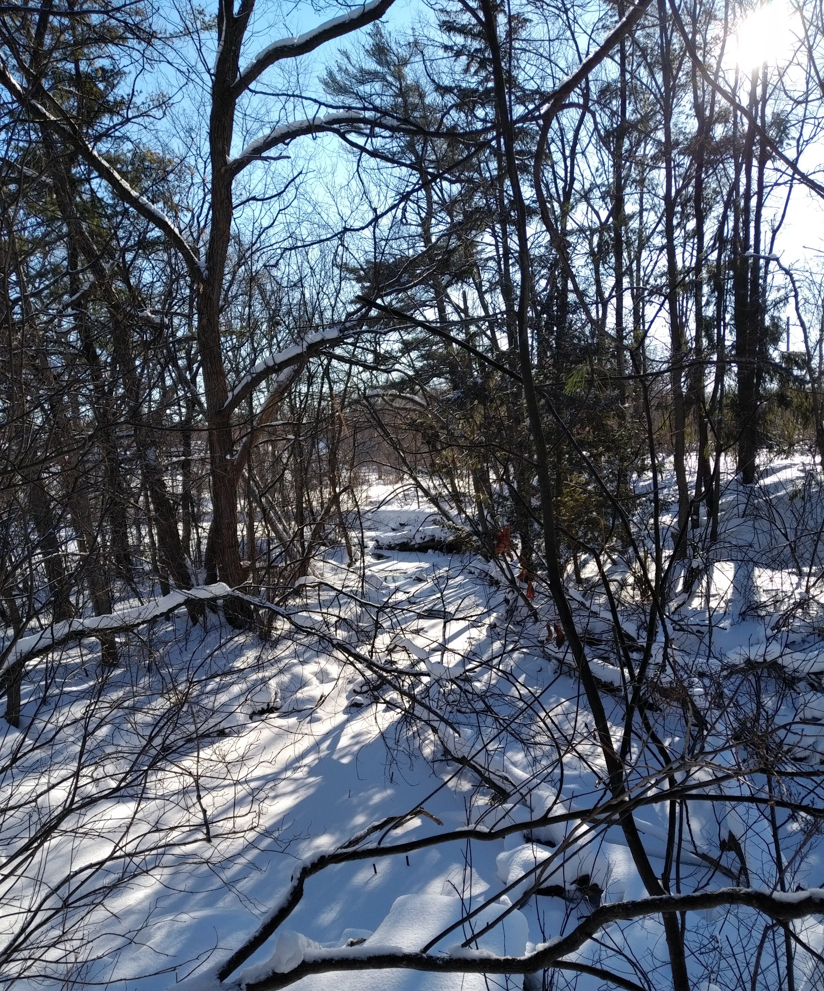 img_20230206_0943249