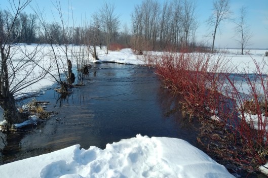 img_20230213_0925540