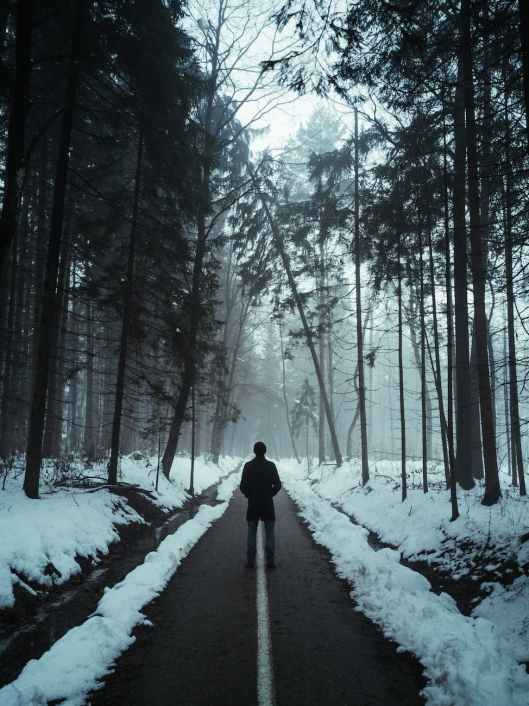 back view of person standing on country road between trees