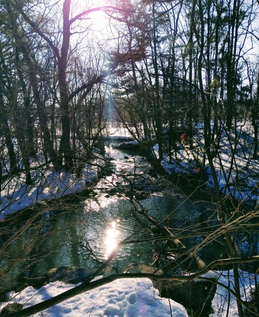 img_20230320_0933089