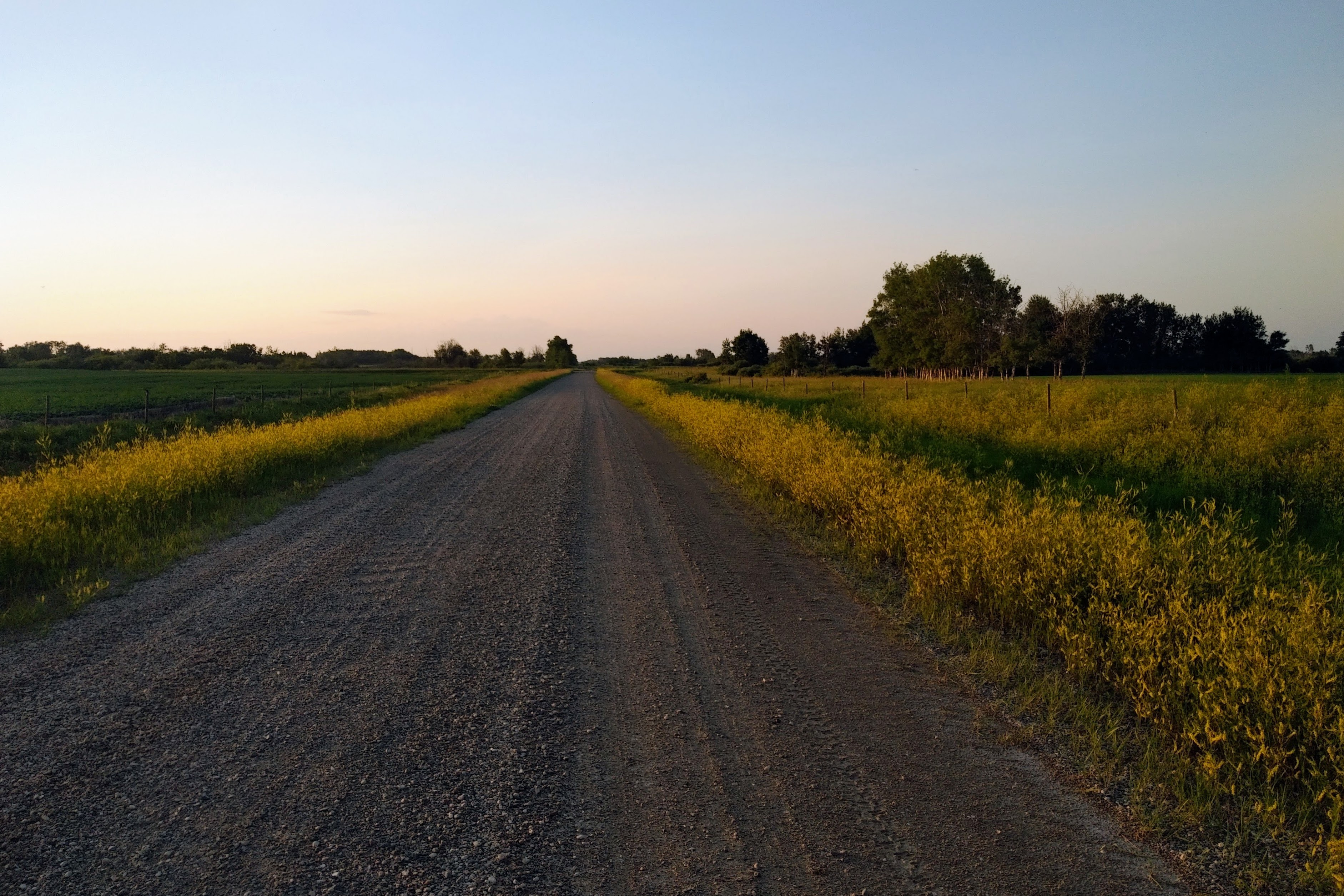 img_20230629_2020590-effects-1