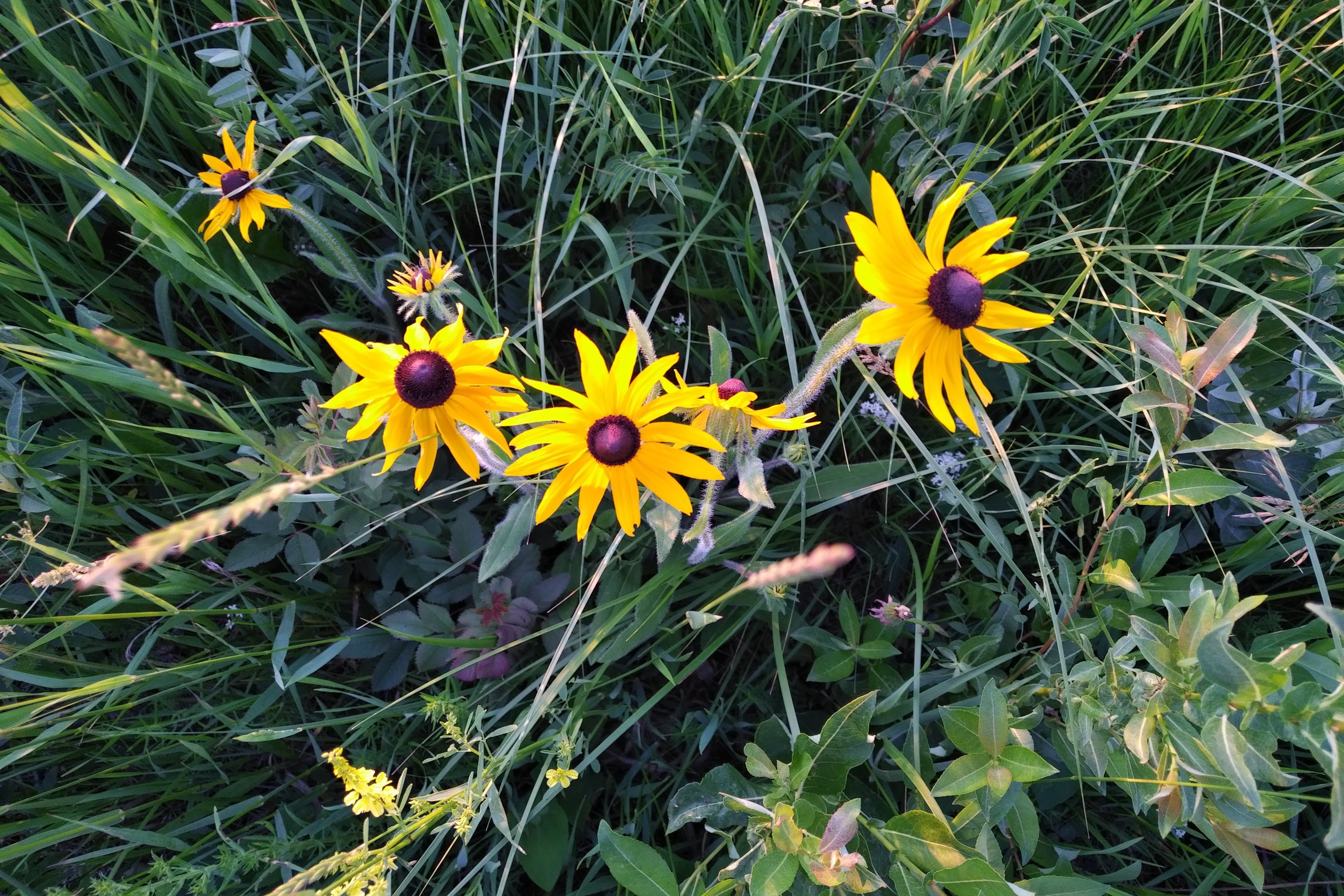 img_20230629_2032106