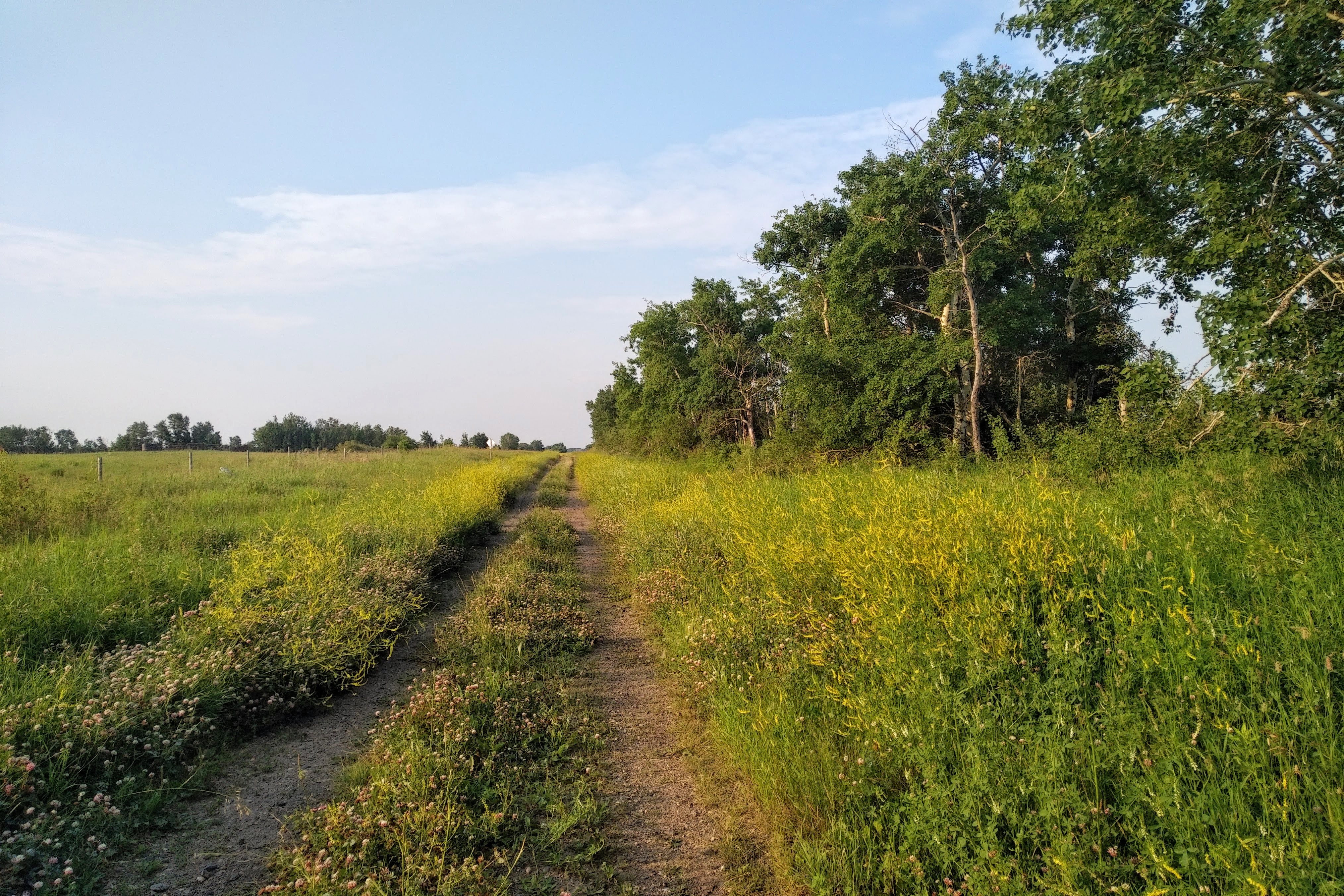 img_20230701_0657578