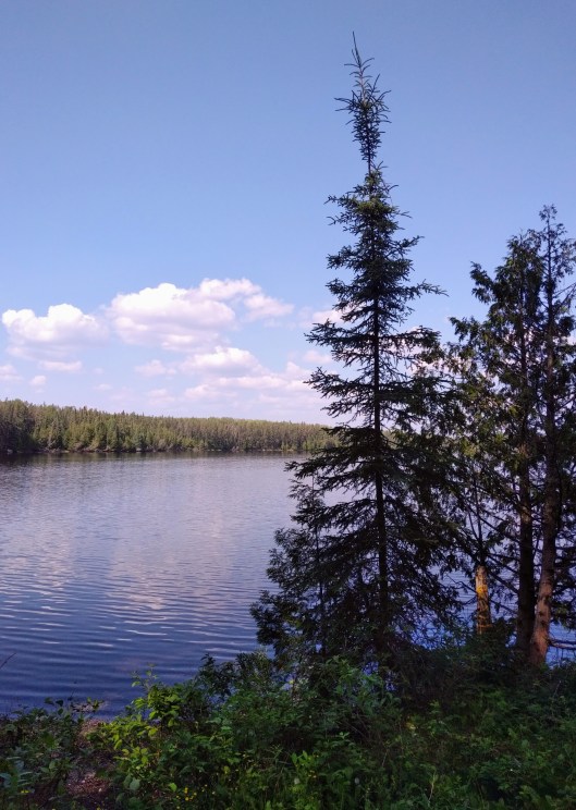 img_20230702_1617136