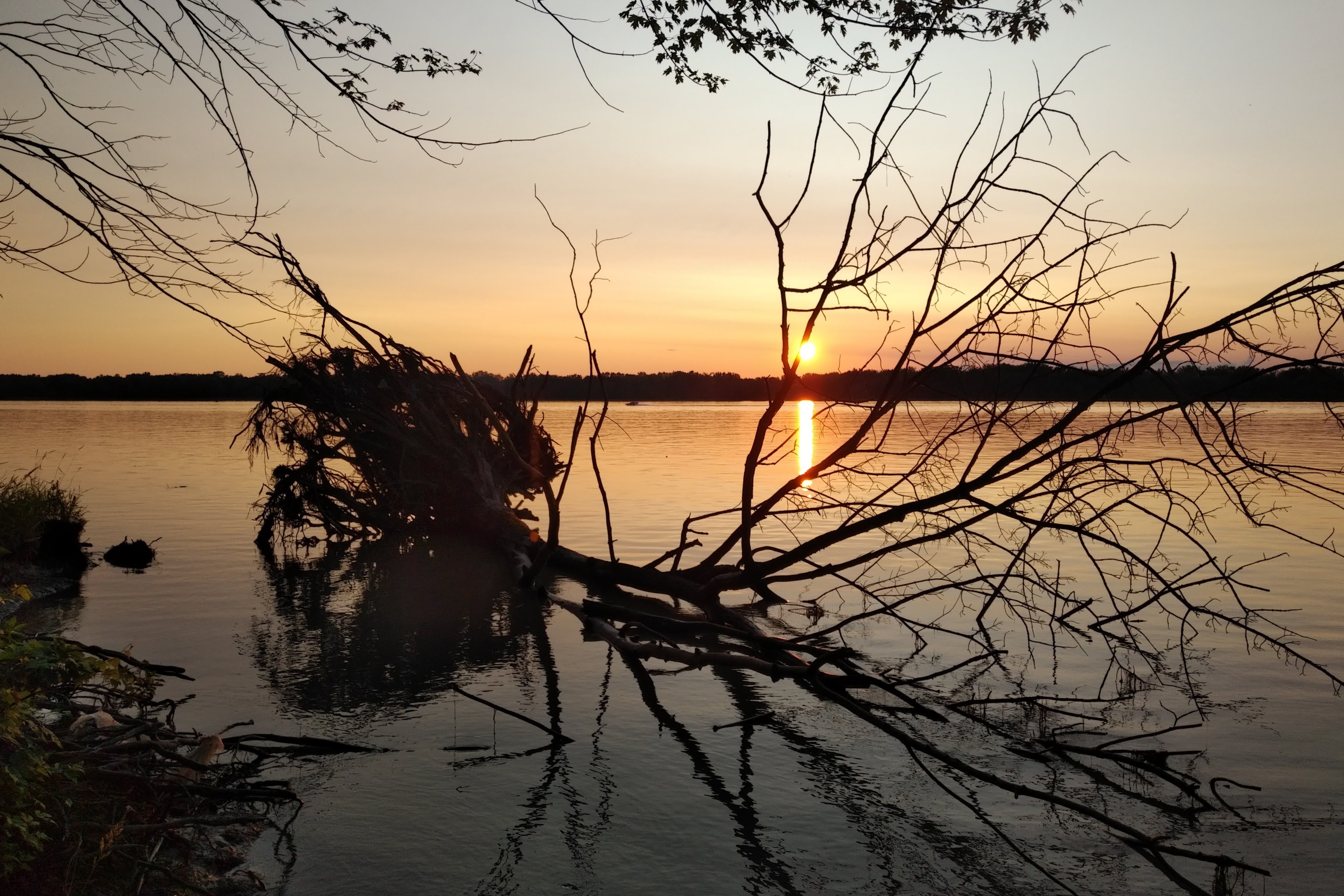 img_20230707_2031229