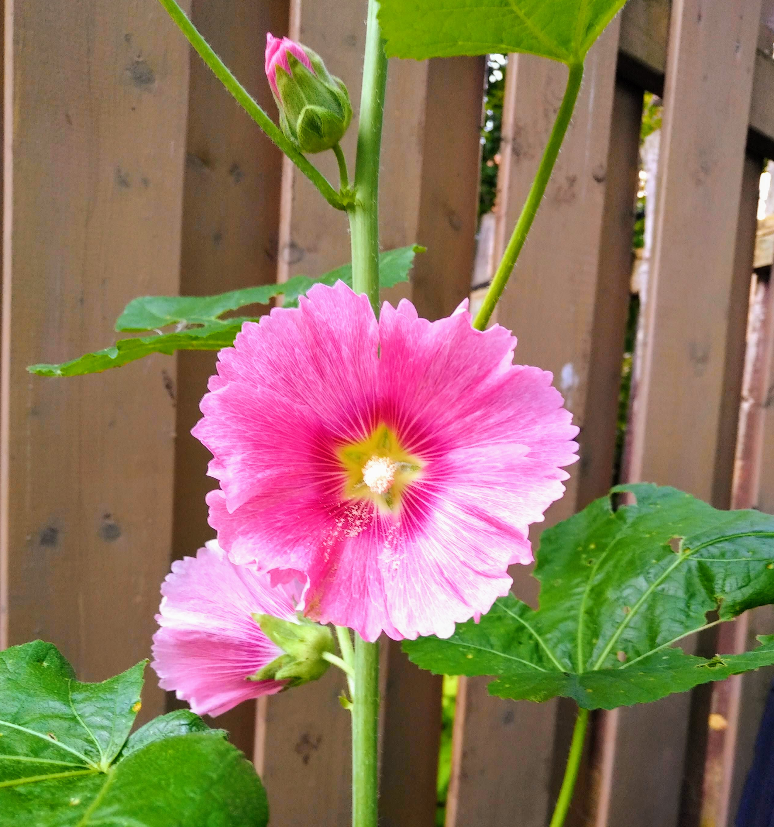 img_20230728_0810522-effects