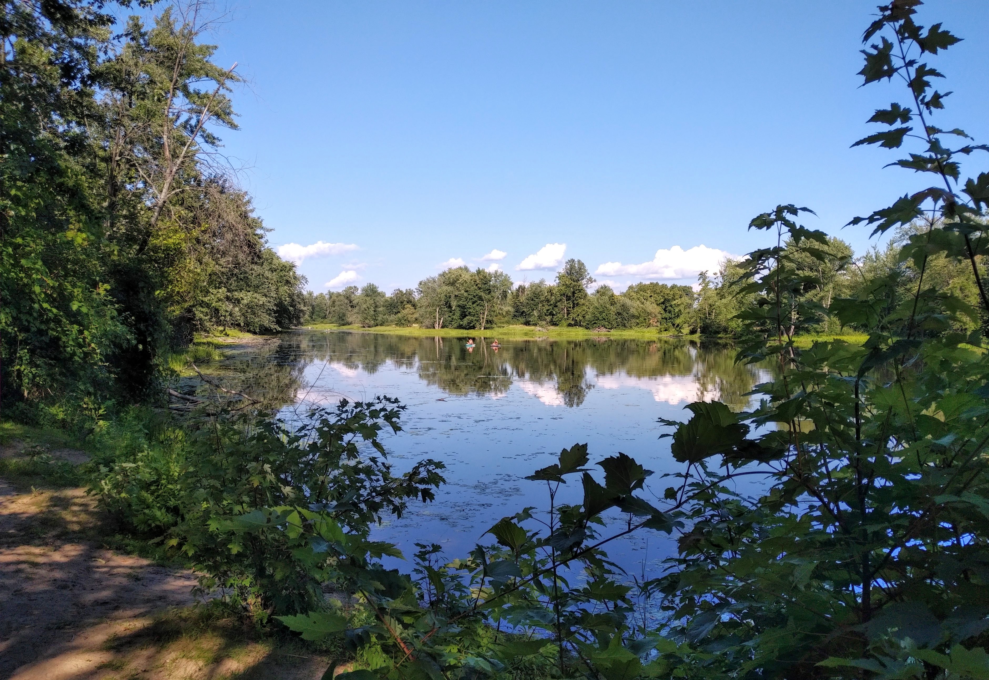 img_20230805_1708138