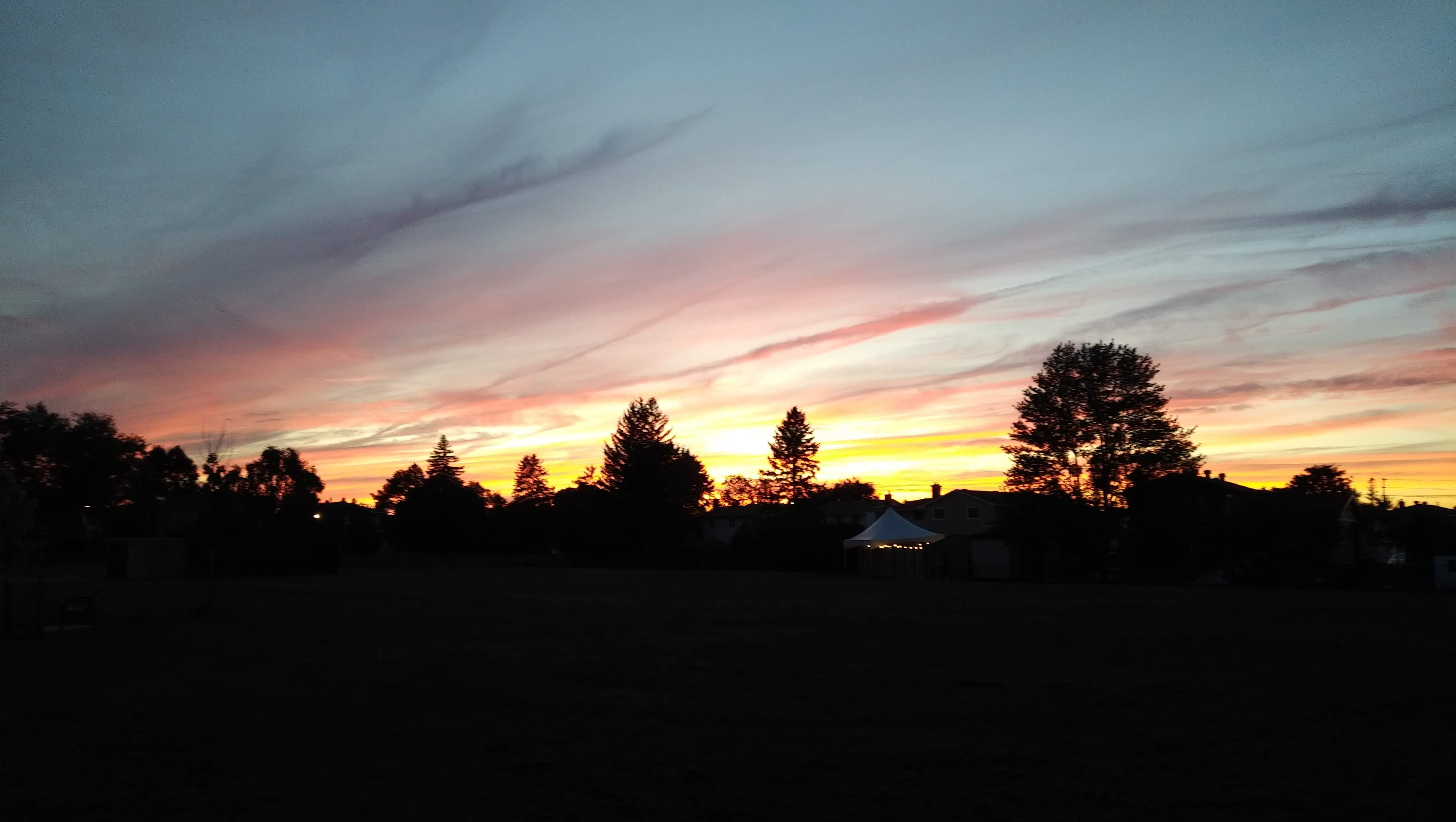 img_20230909_1938356