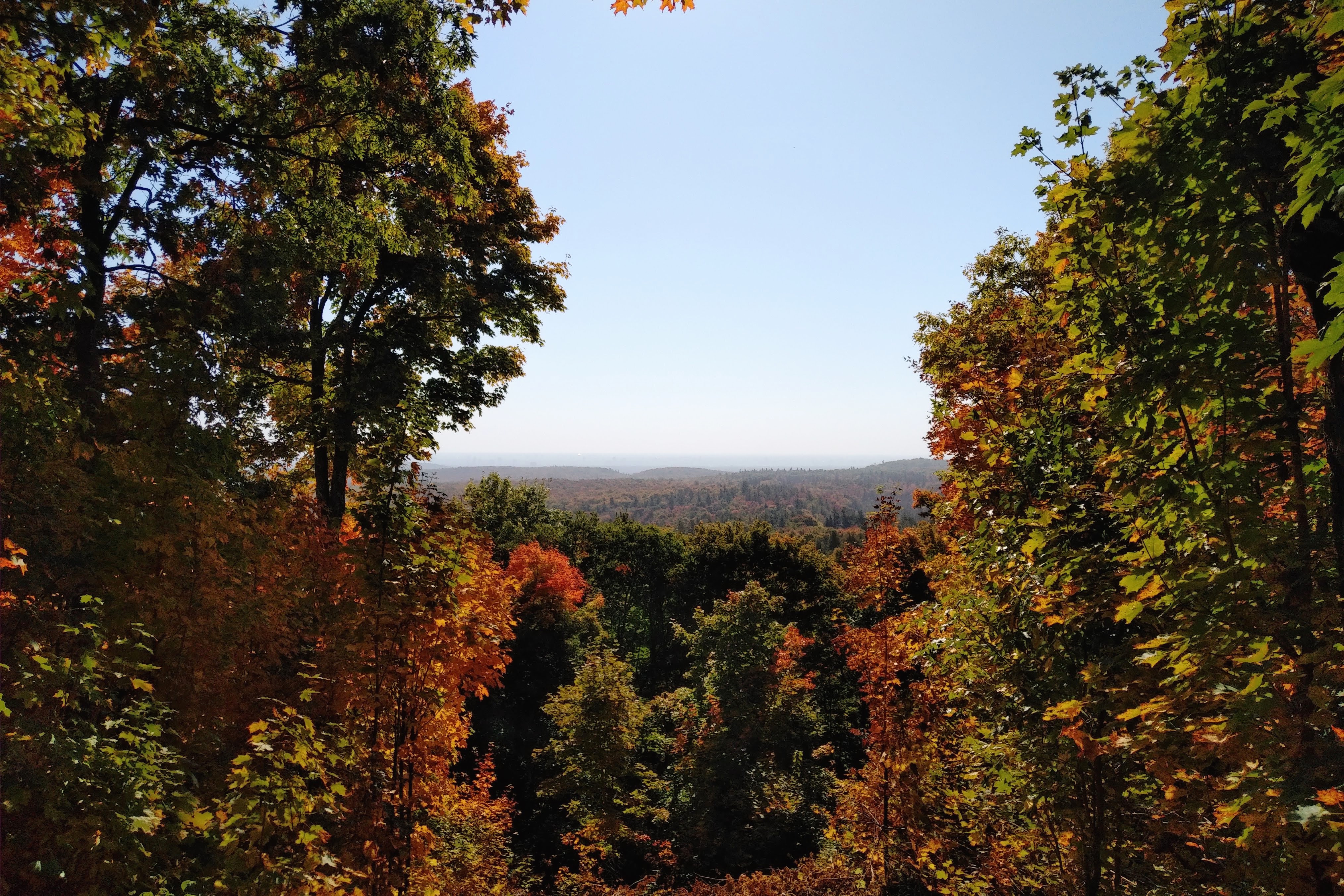 img_20231004_1115545