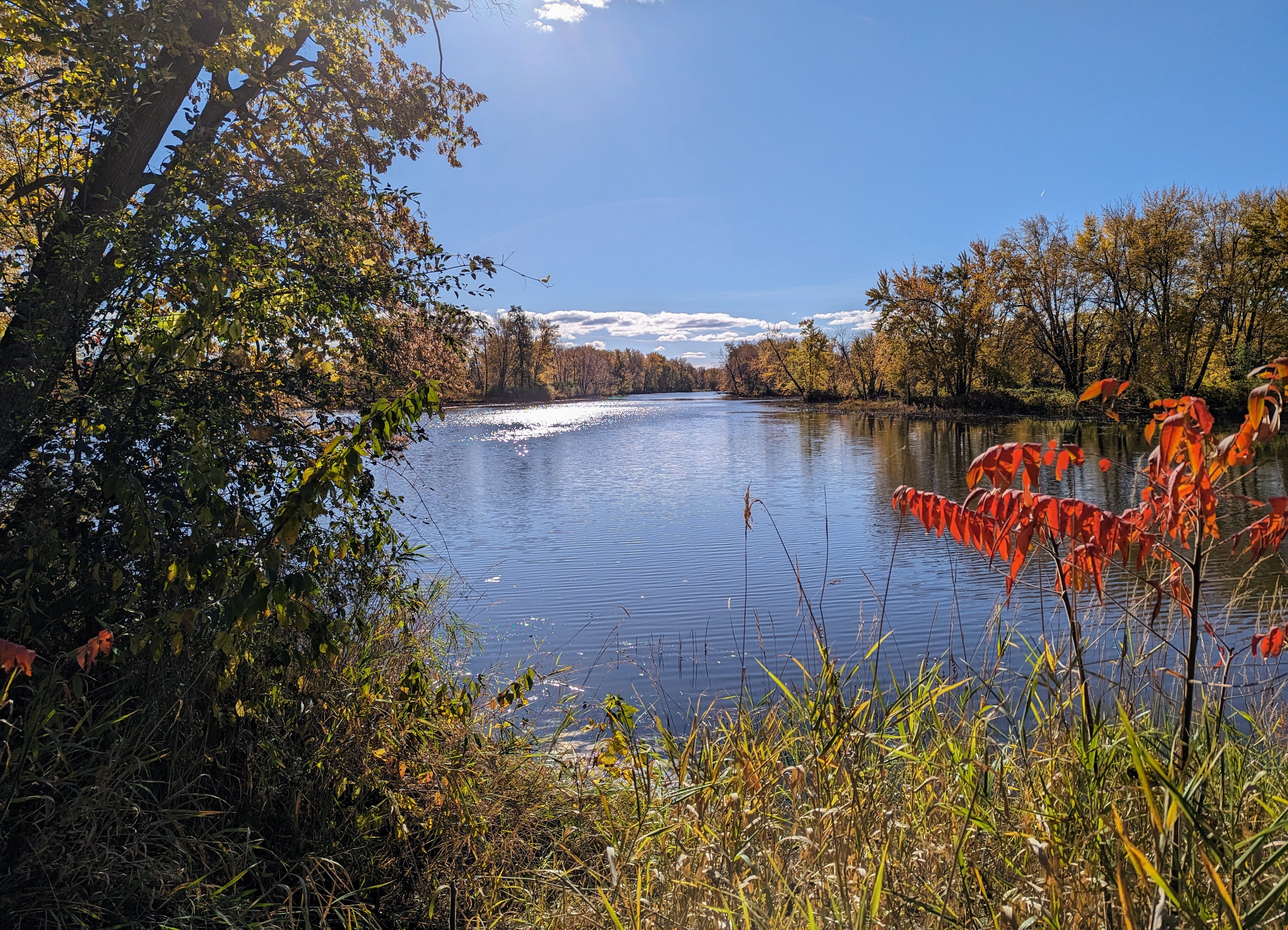 pxl_20231023_185129280