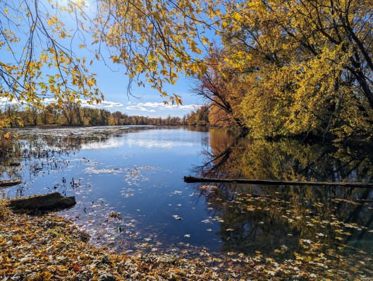 pxl_20231023_185726981-1