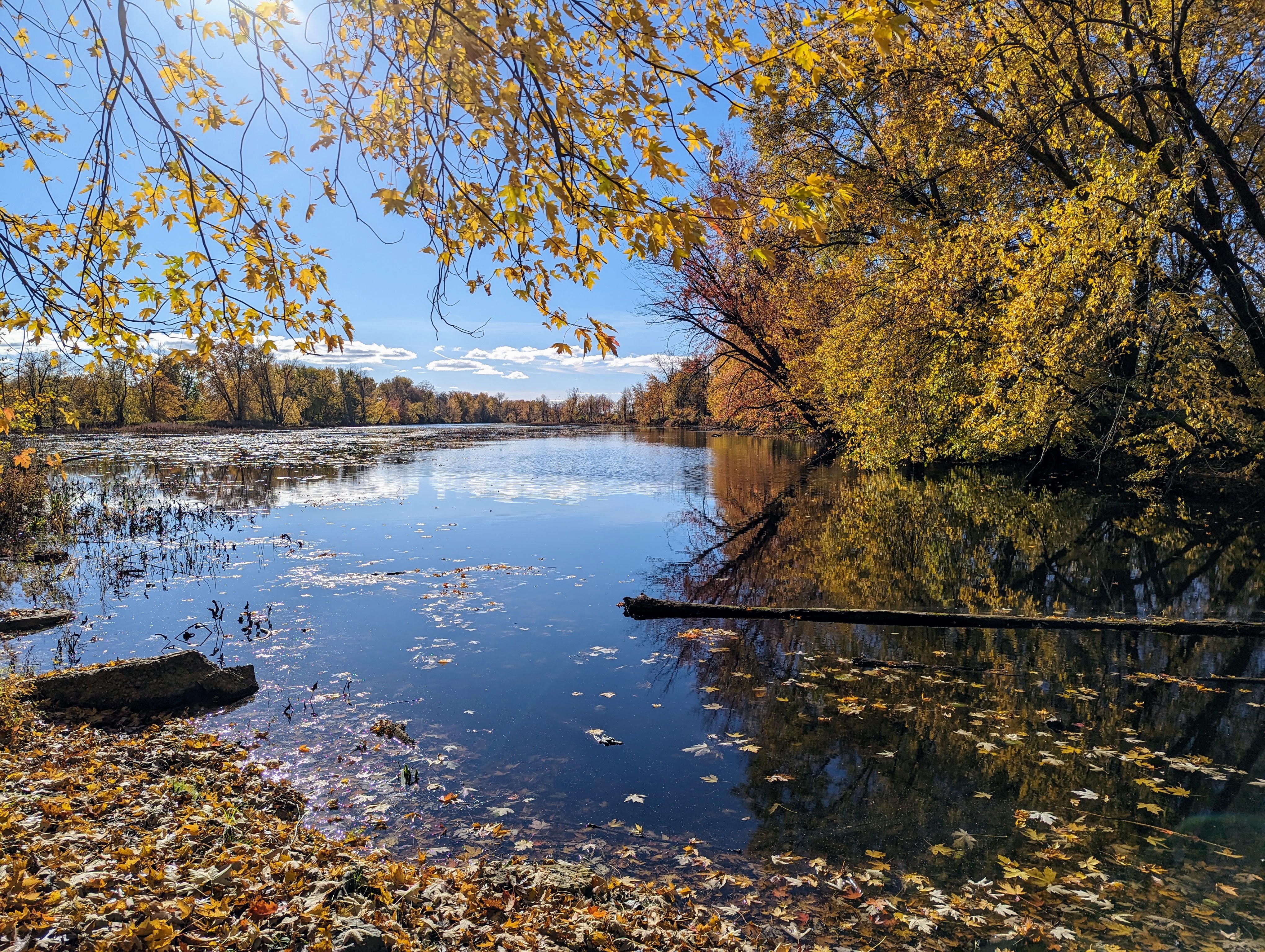 pxl_20231023_185726981