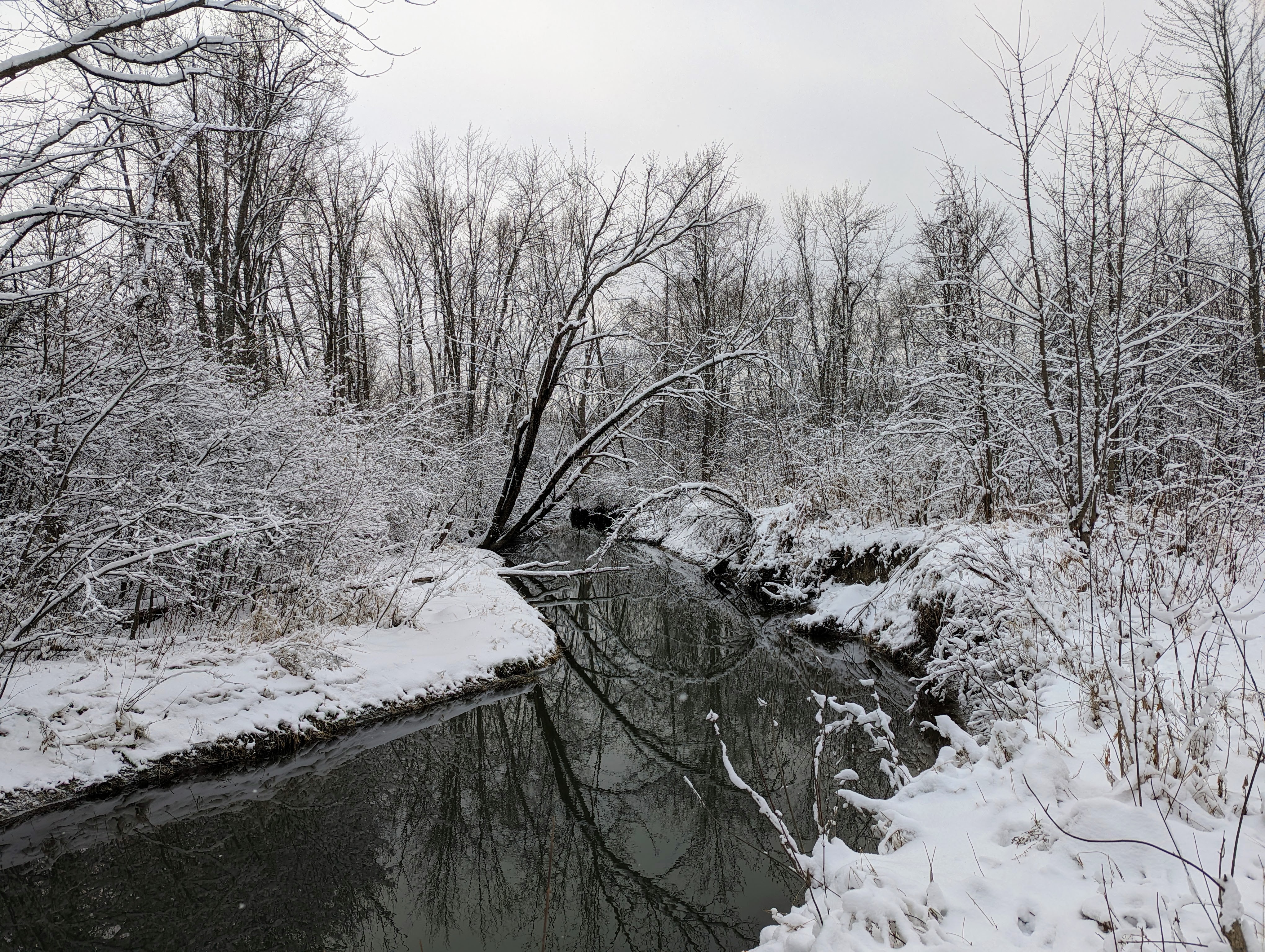 PXL_20231206_201210273