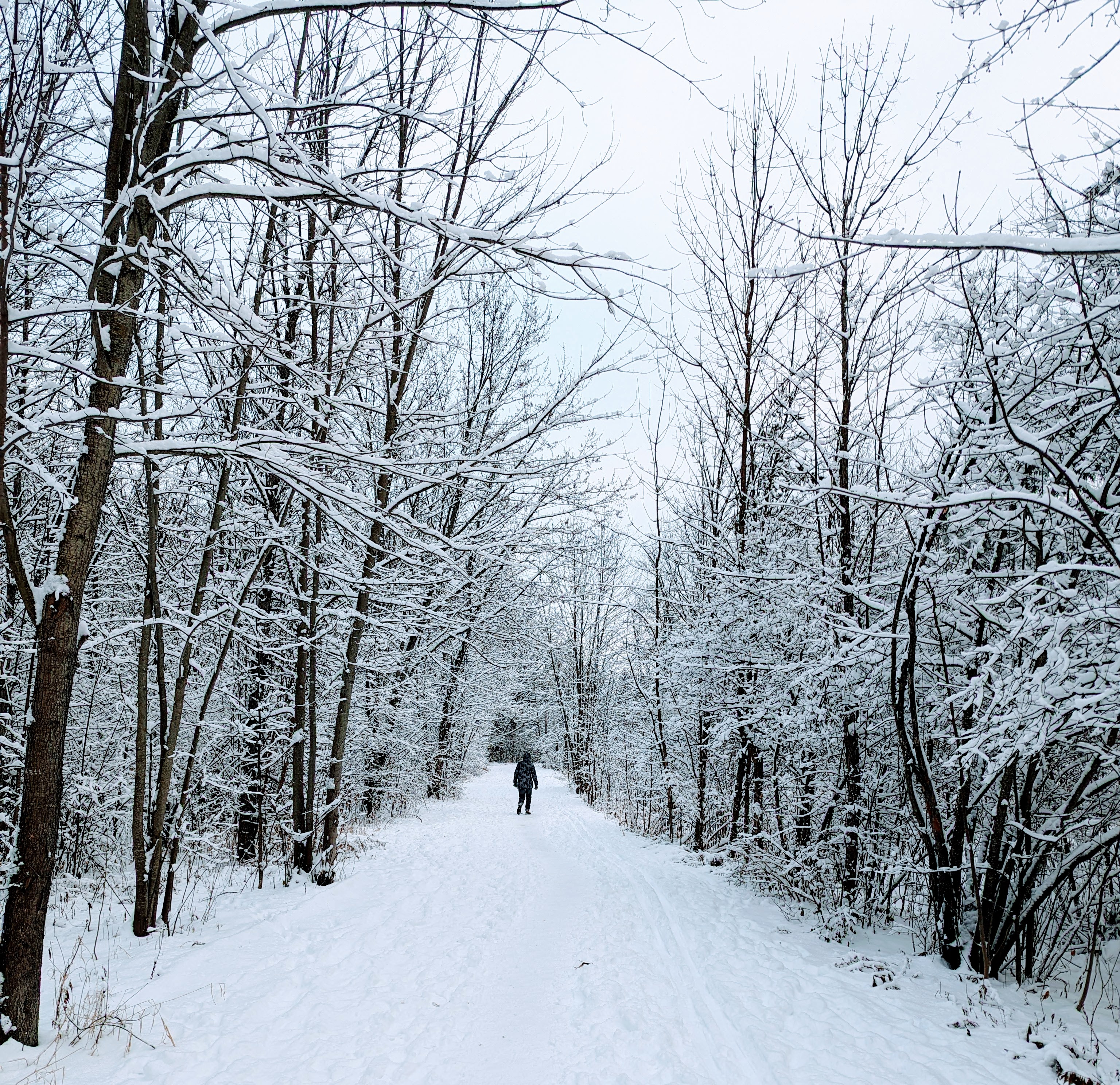 pxl_20231206_204126932-effects