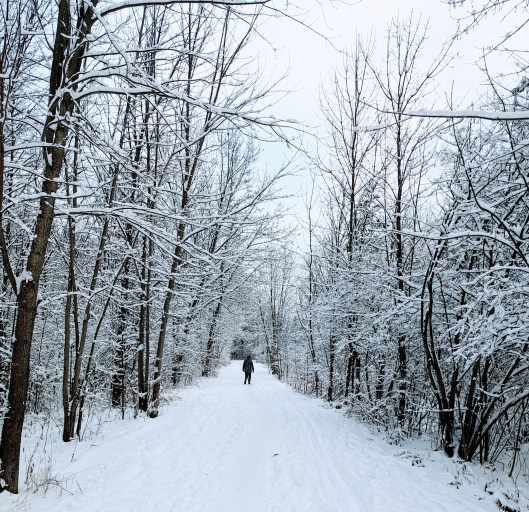 pxl_20231206_204126932-effects