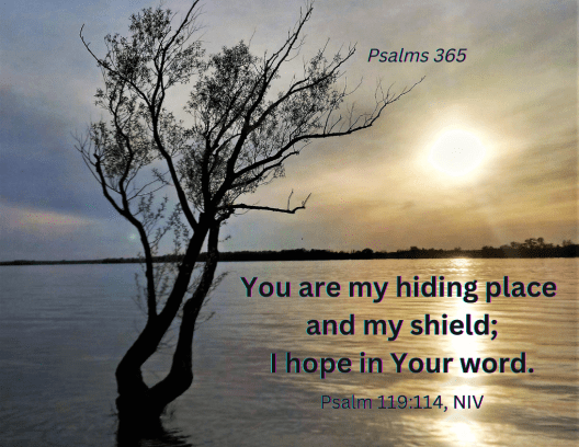 Psalm 119_114