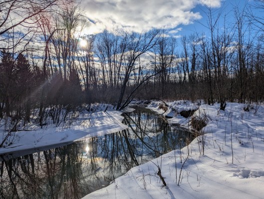 pxl_20240129_200845879-1