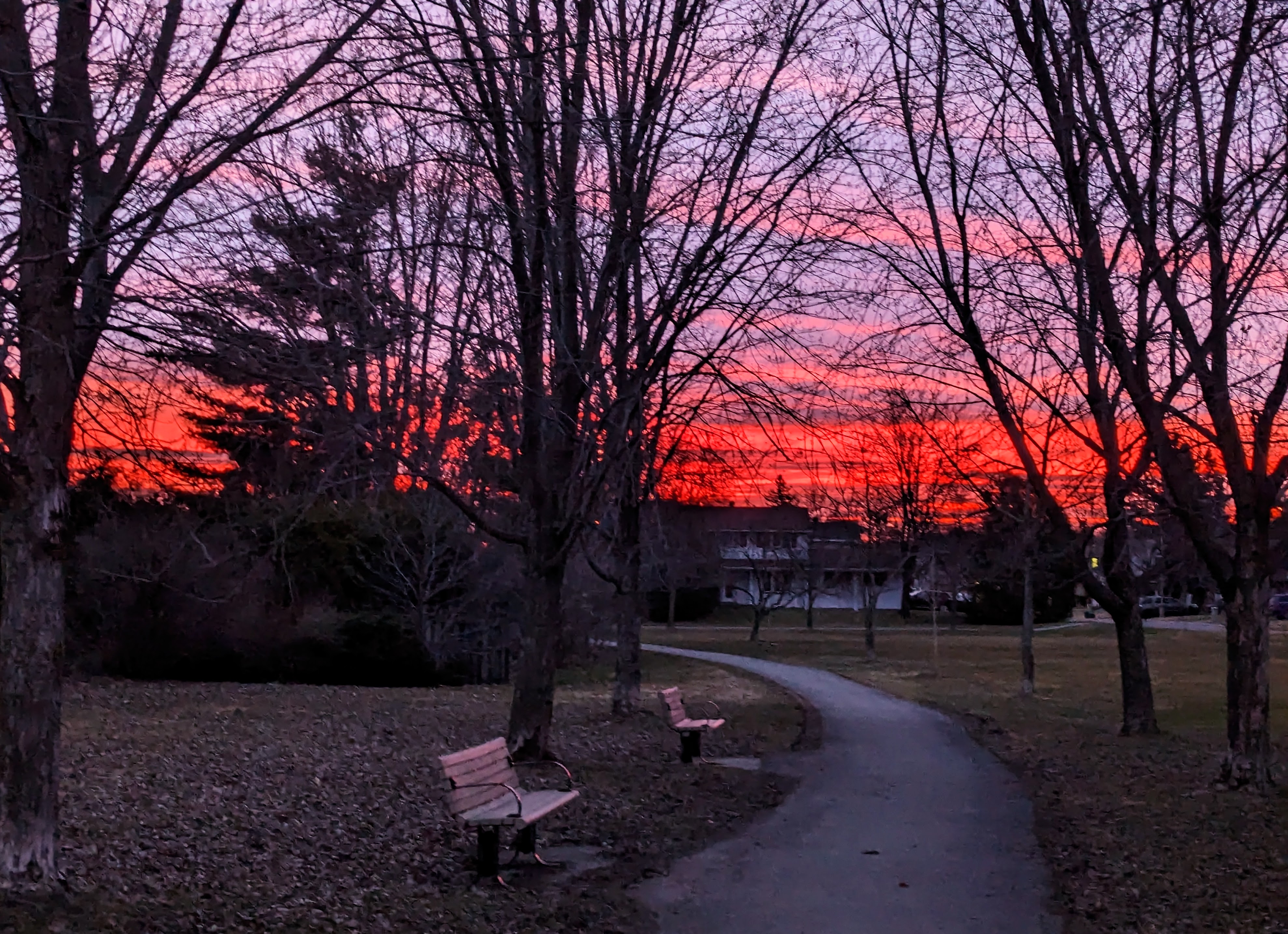 PXL_20240403_101931380