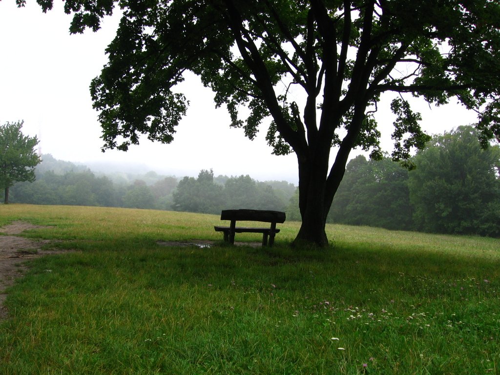 lonely-place-1565180