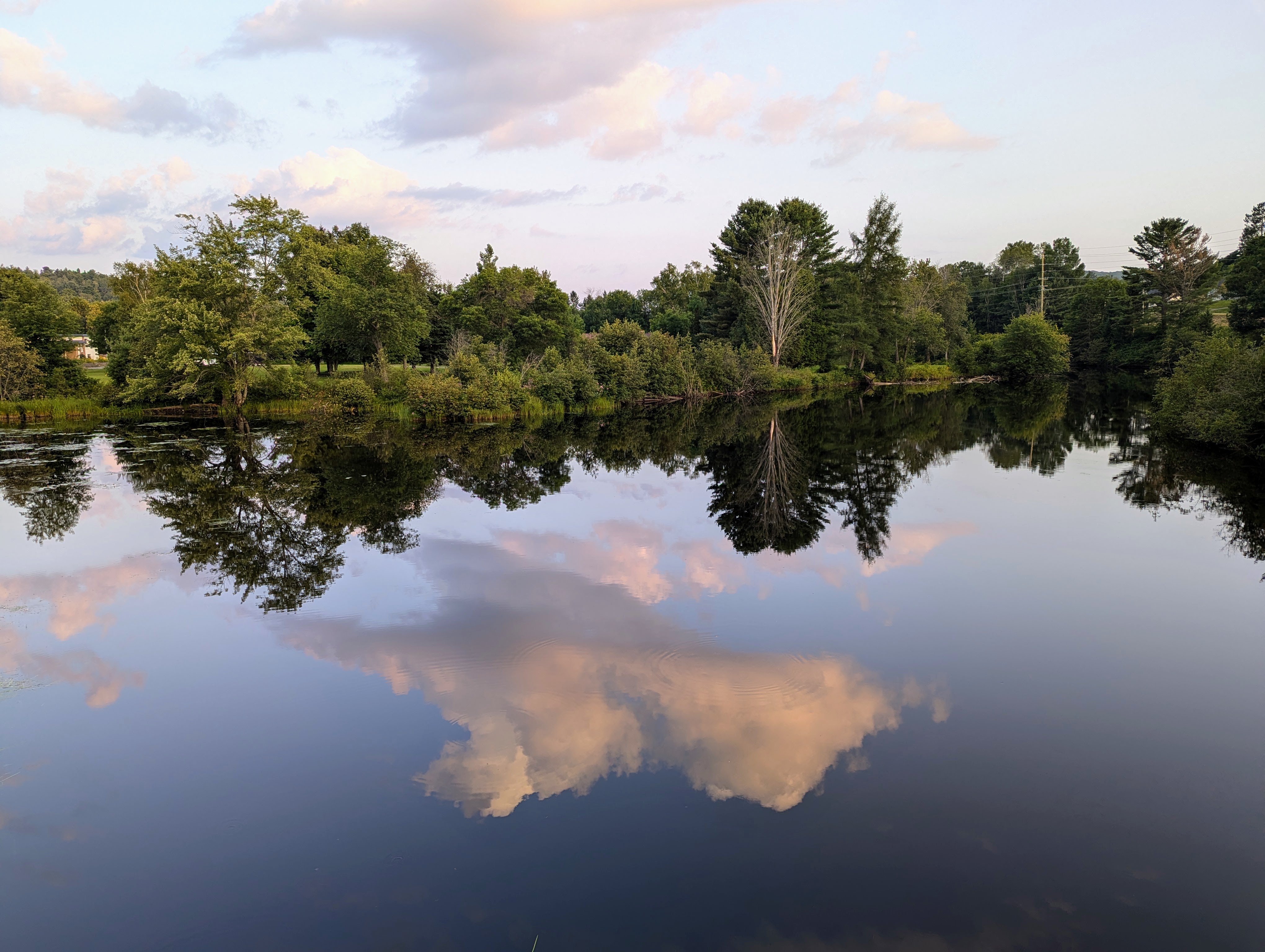 pxl_20240731_235929776