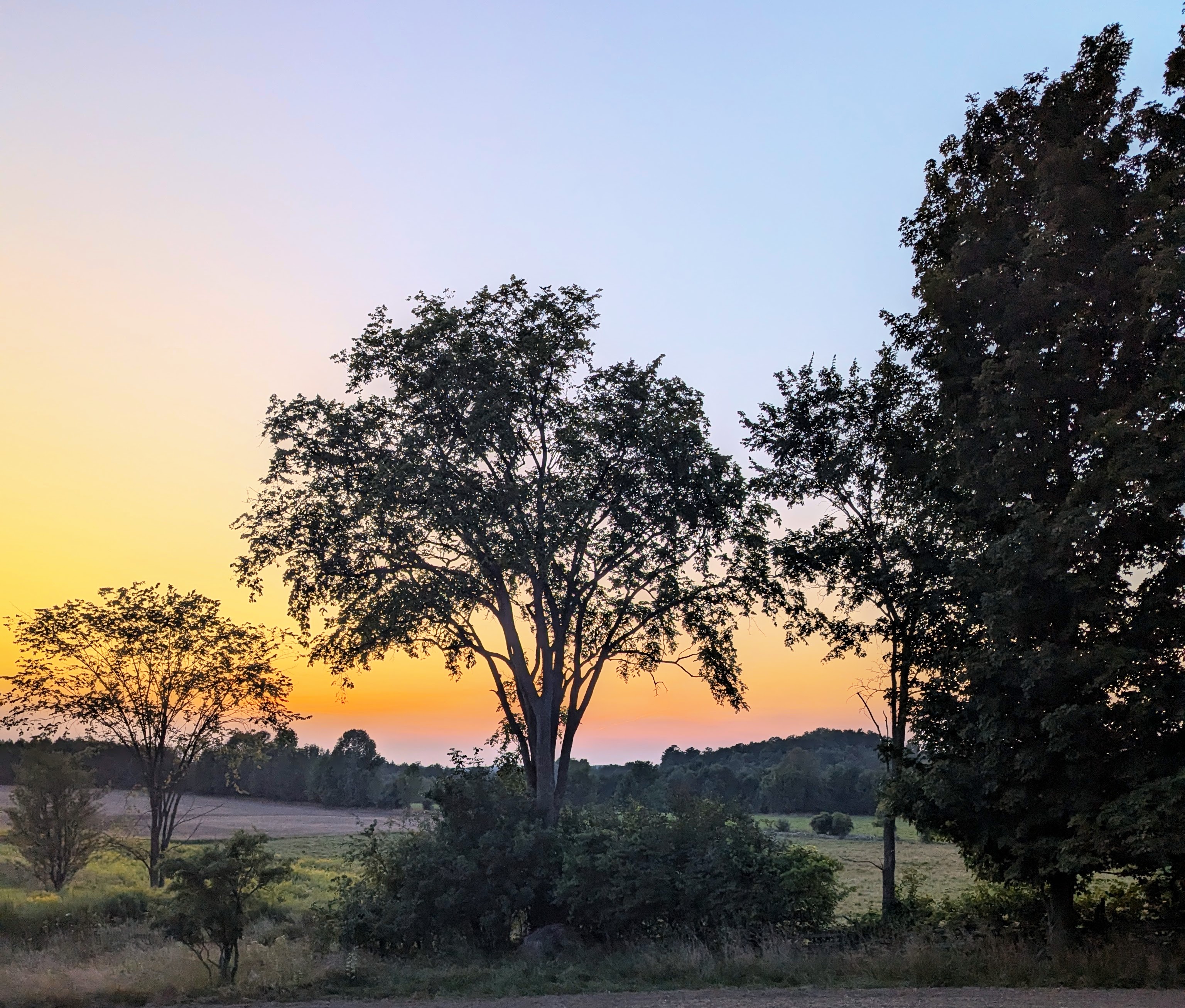 pxl_20240826_003114419-edit