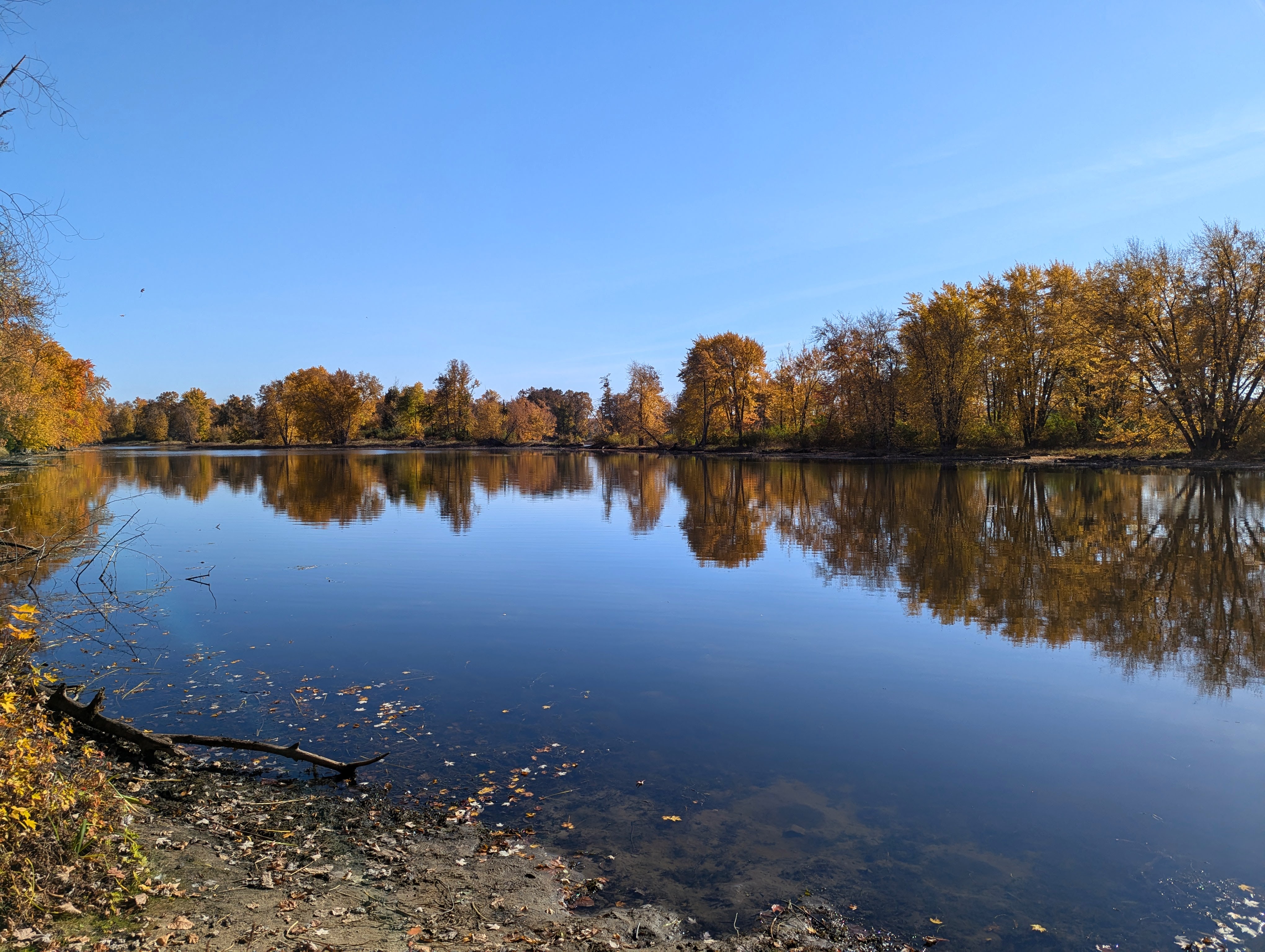 PXL_20241021_151211306