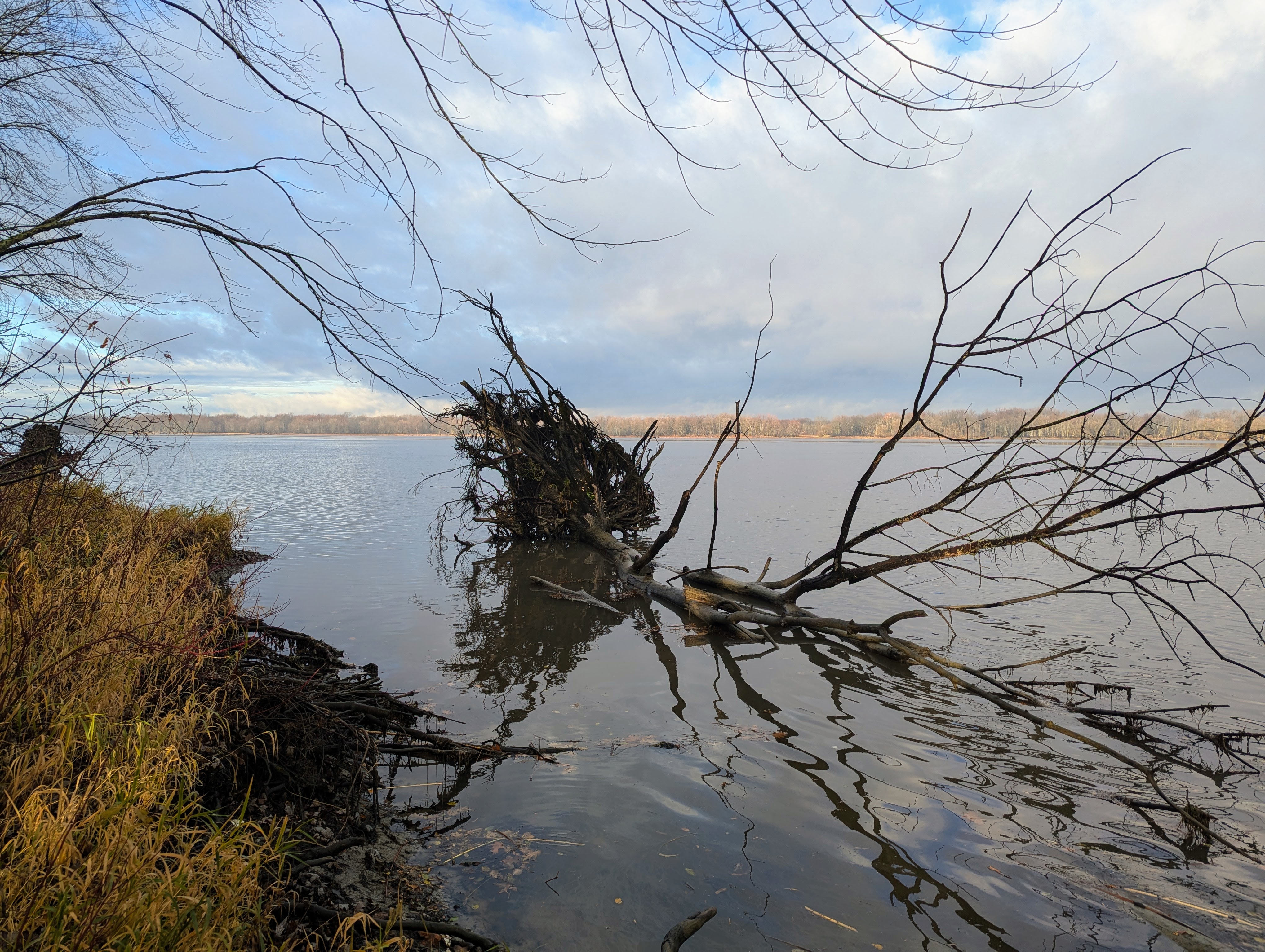 pxl_20241111_131104072.mp_