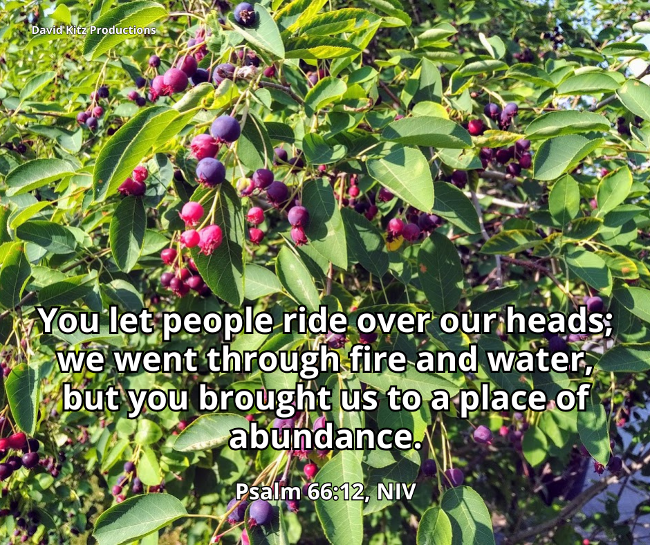 Psalm 66_12